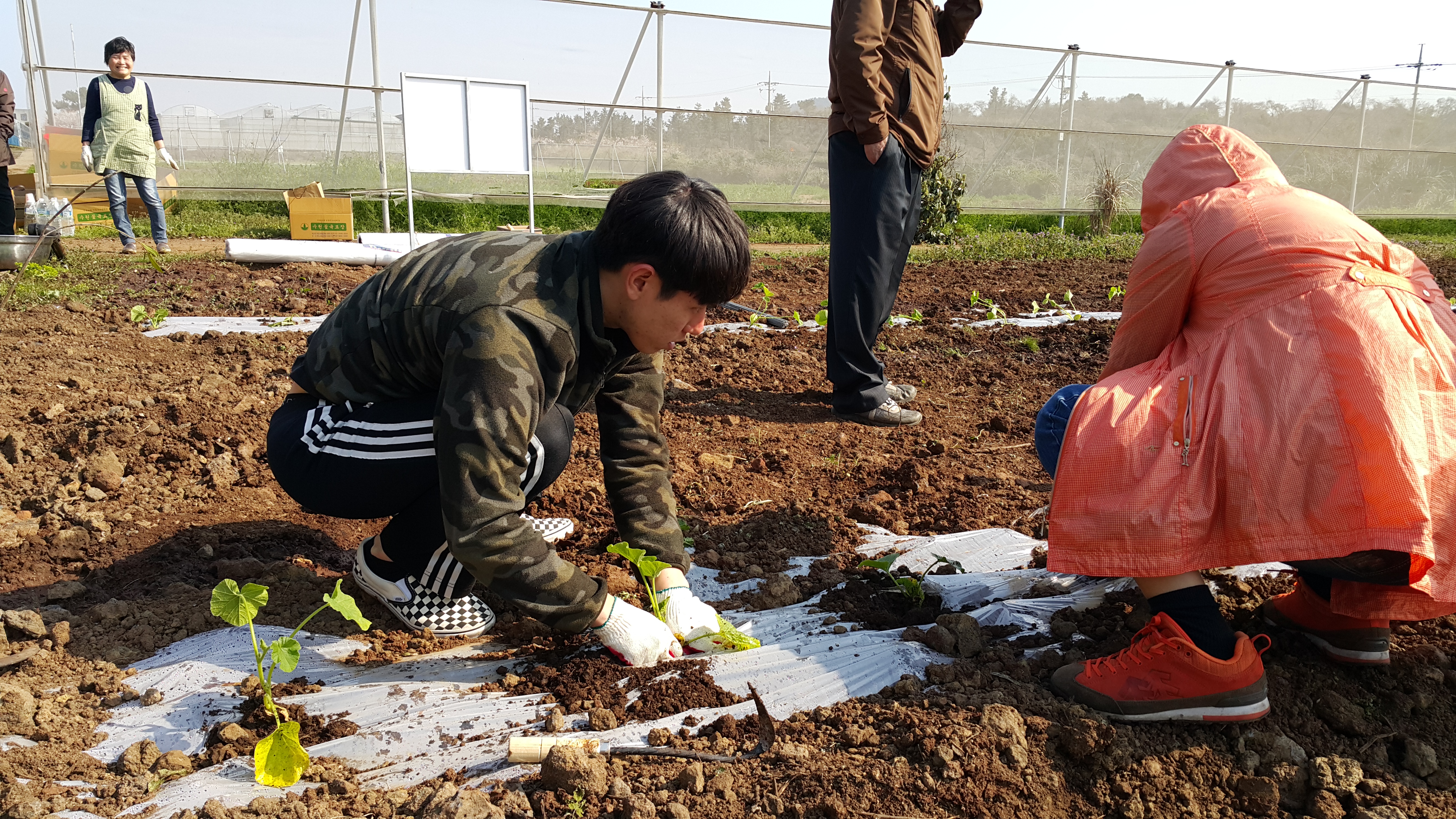 2017년 신규농업인 기초교육(채소기초반)