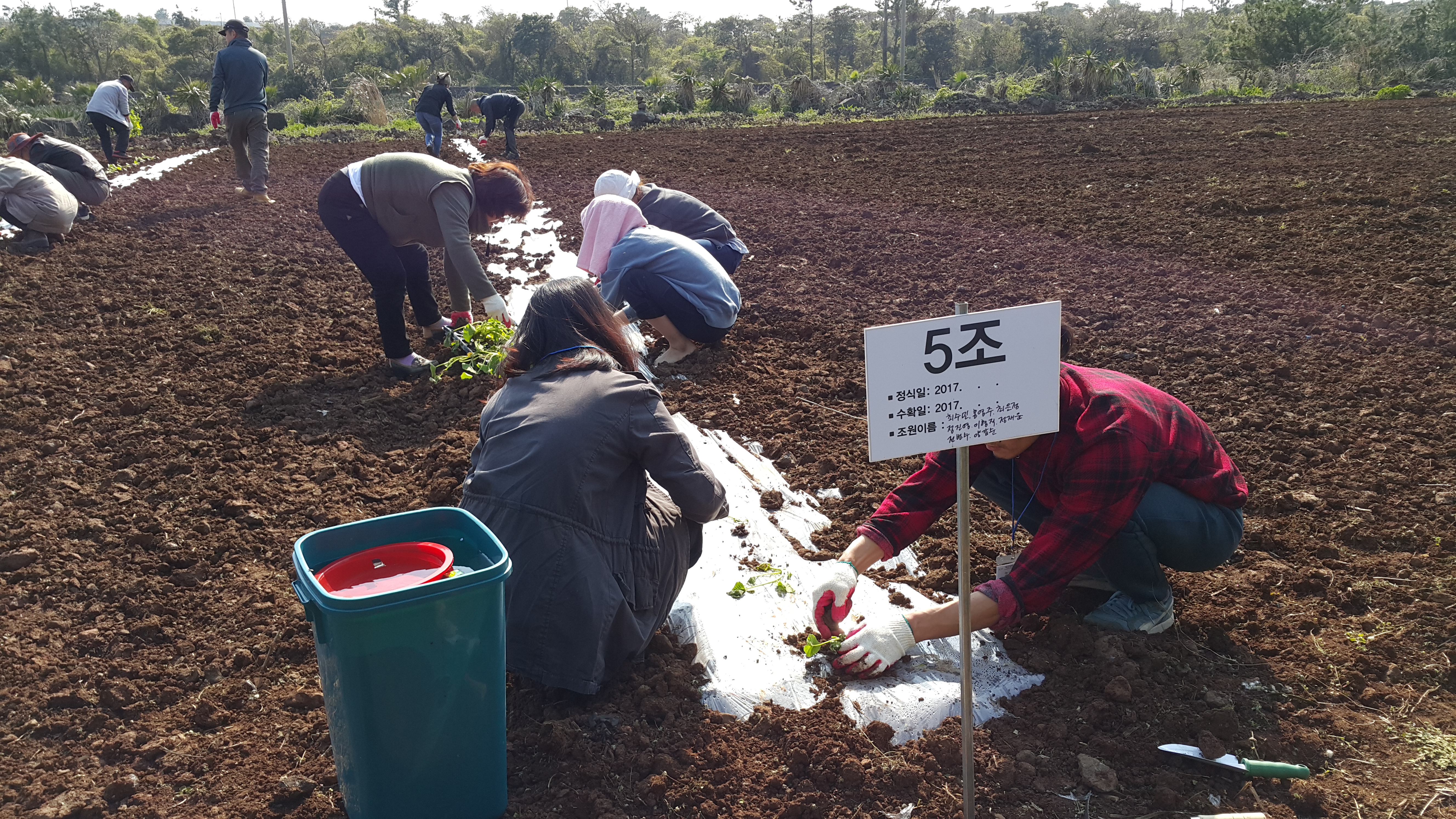 2017년 신규농업인 기초교육(채소기초반)