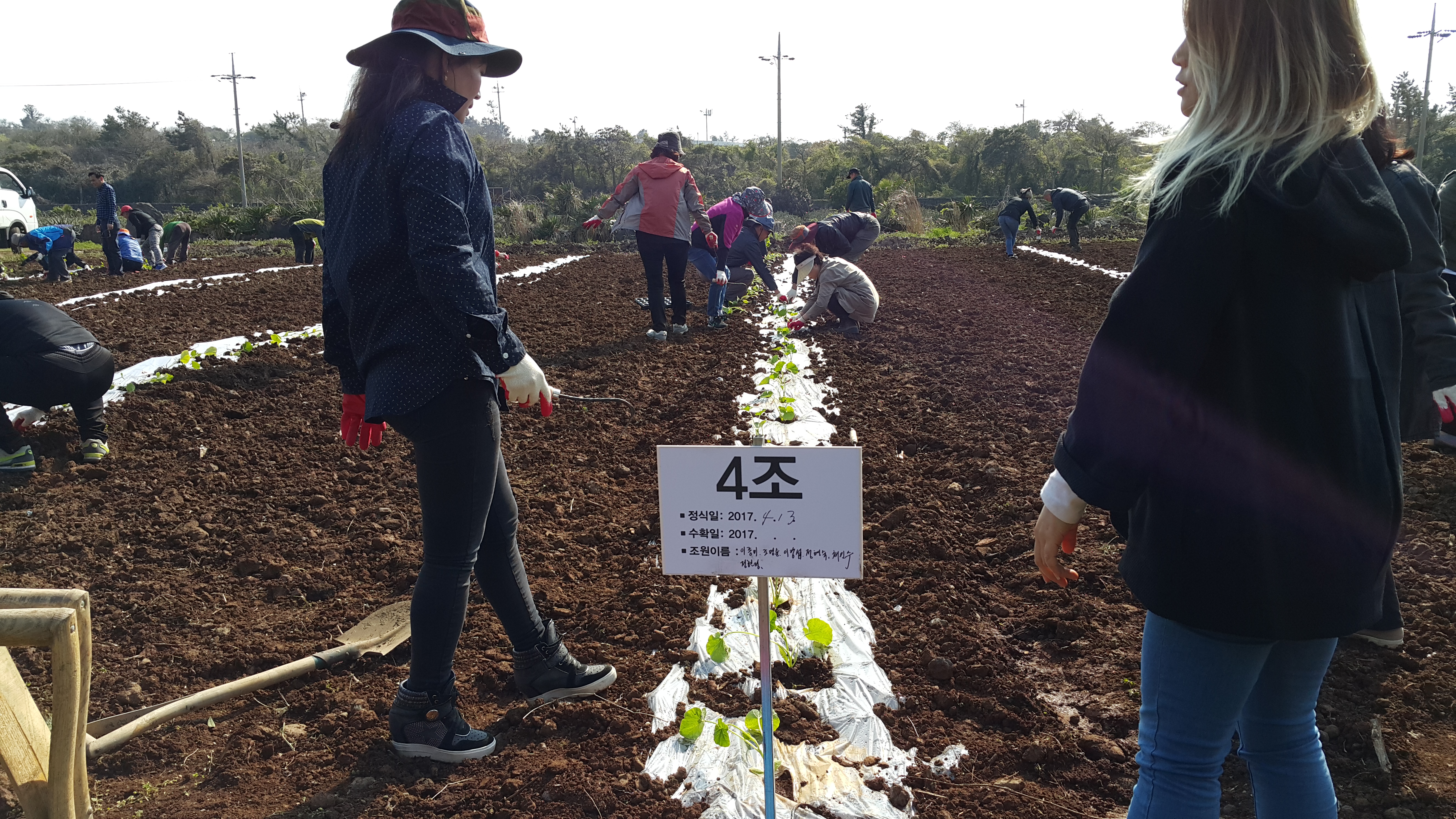 2017년 신규농업인 기초교육(채소기초반)