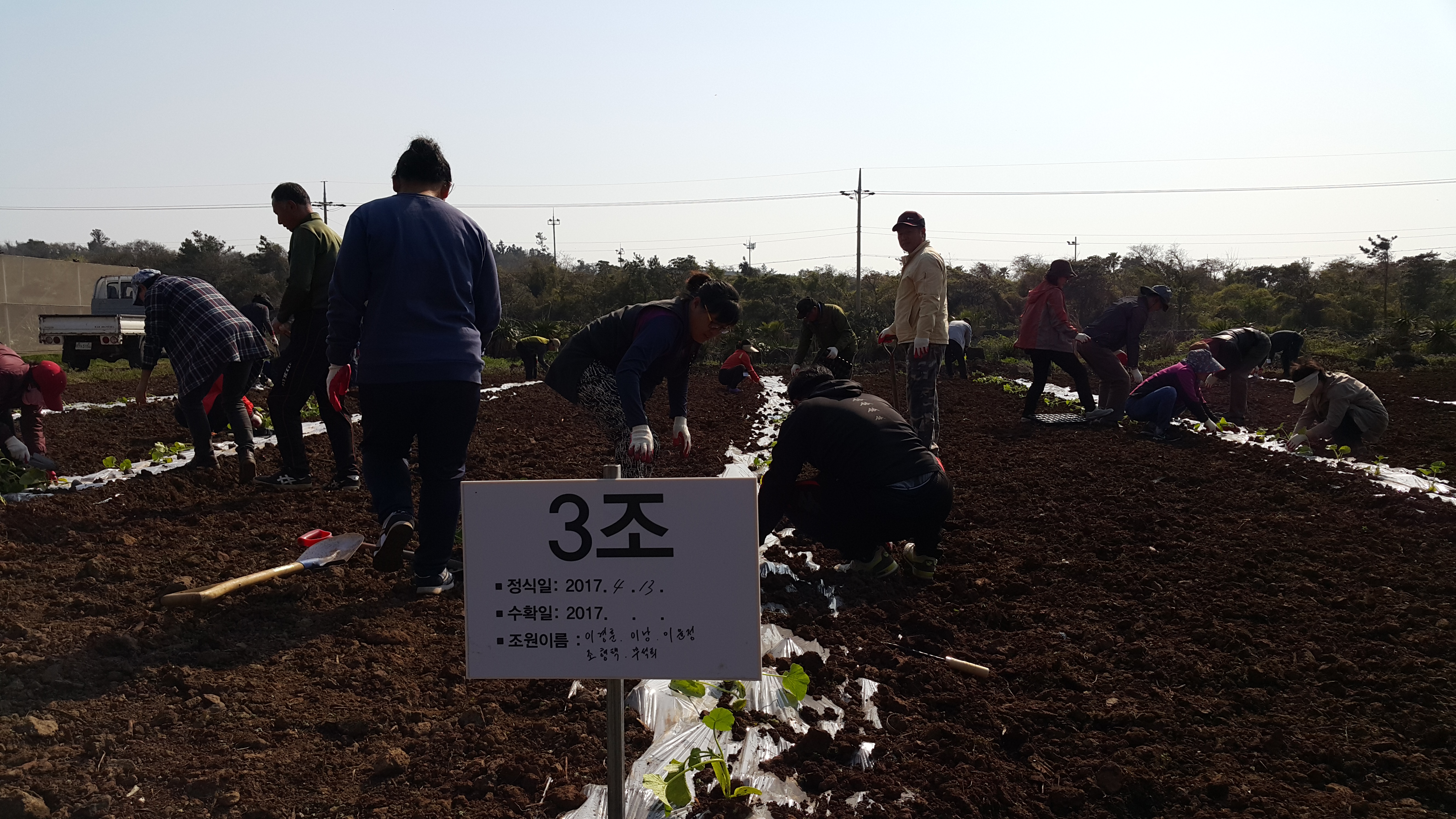 2017년 신규농업인 기초교육(채소기초반)