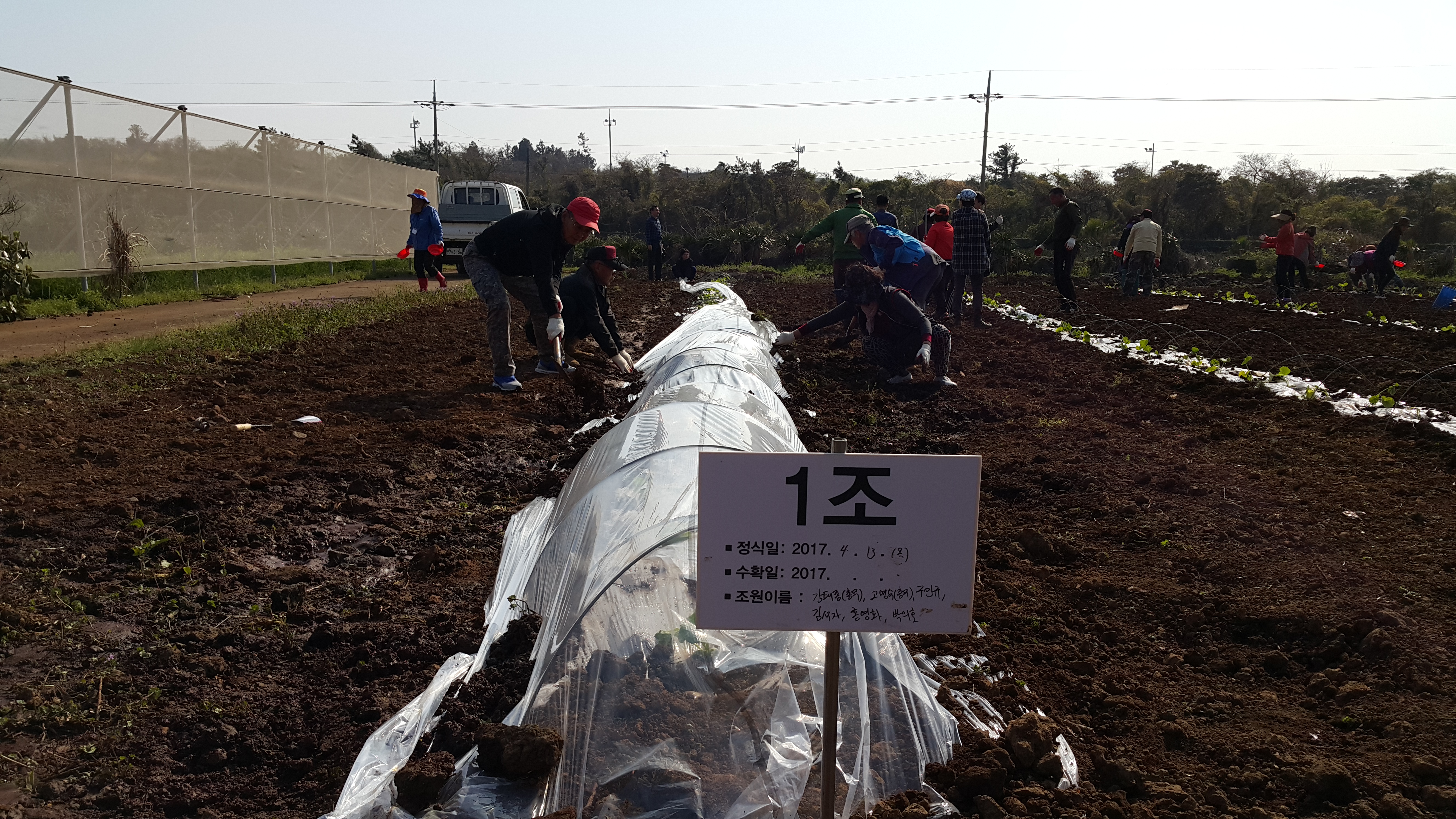 2017년 신규농업인 기초교육(채소기초반)