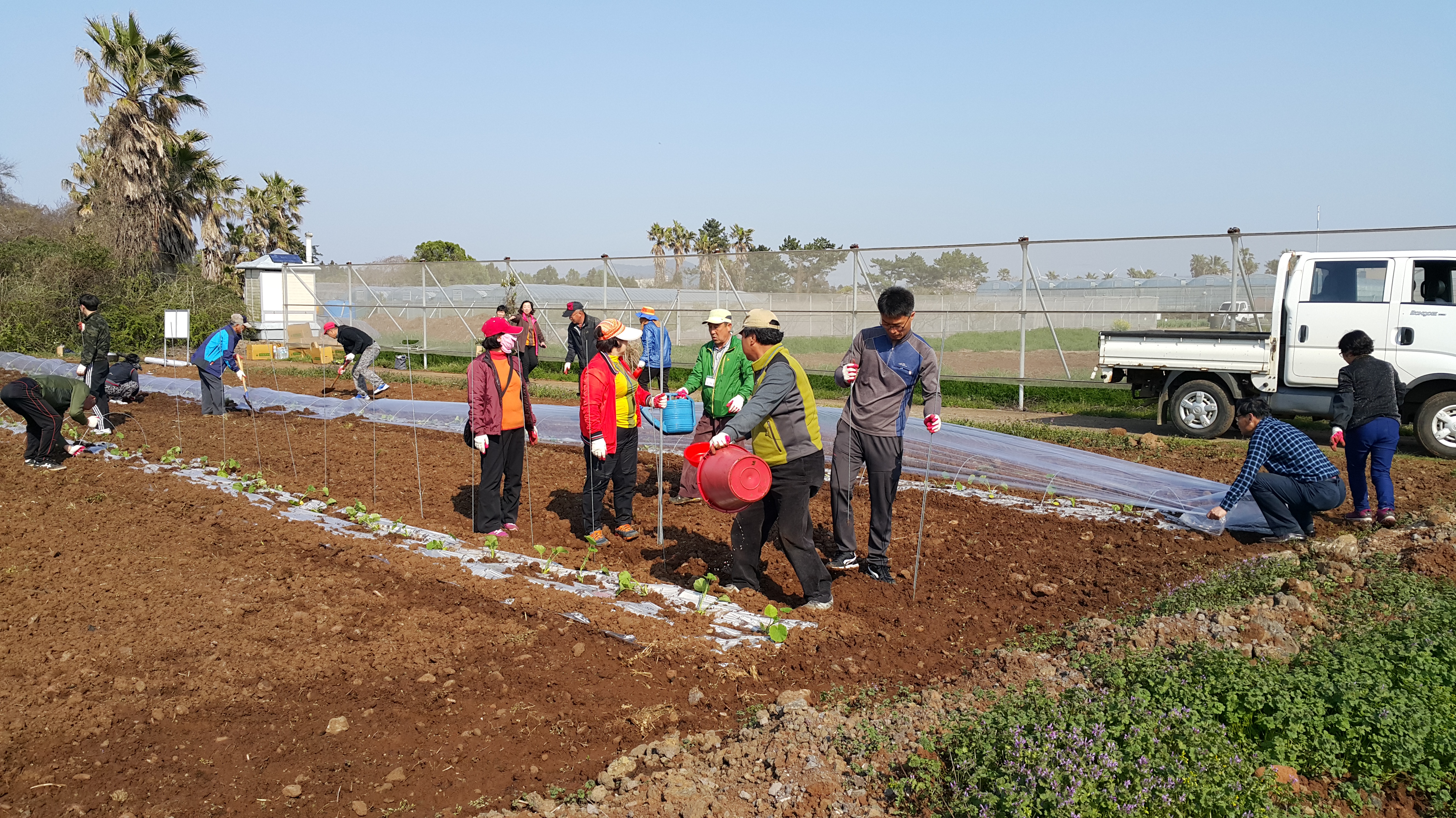 2017년 신규농업인 기초교육(채소기초반)
