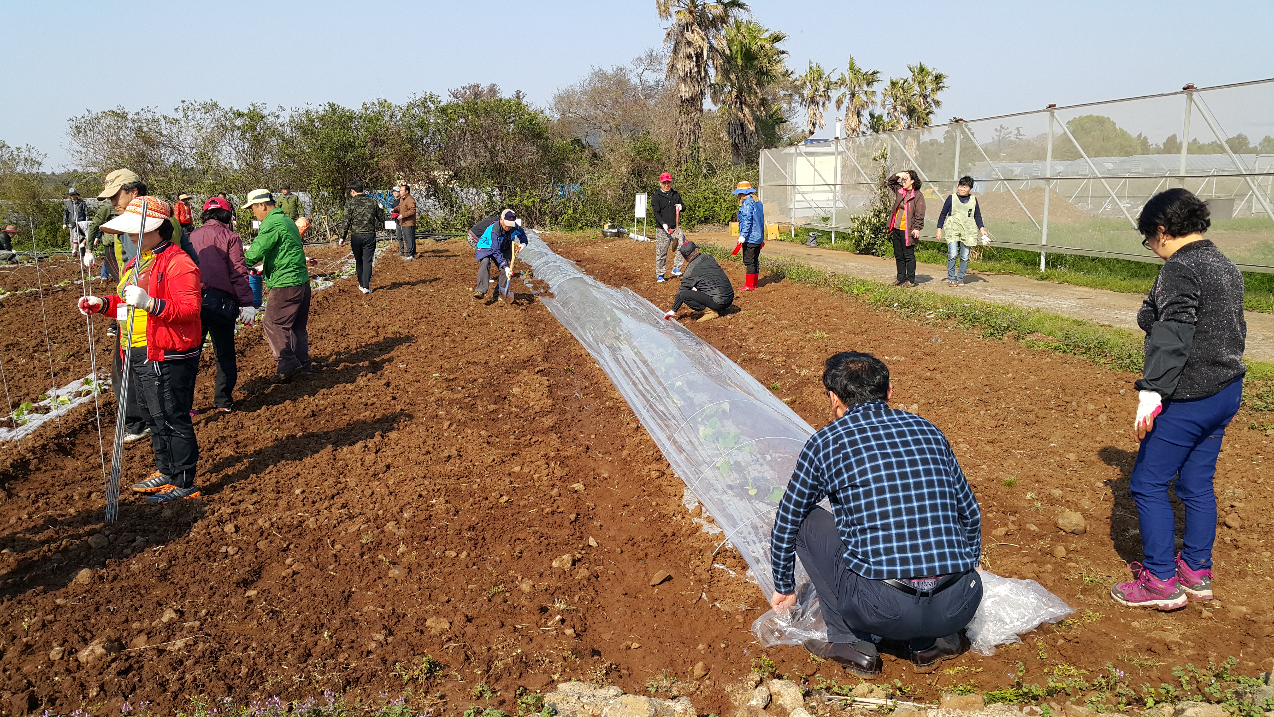 2017년 신규농업인 기초교육(채소기초반)