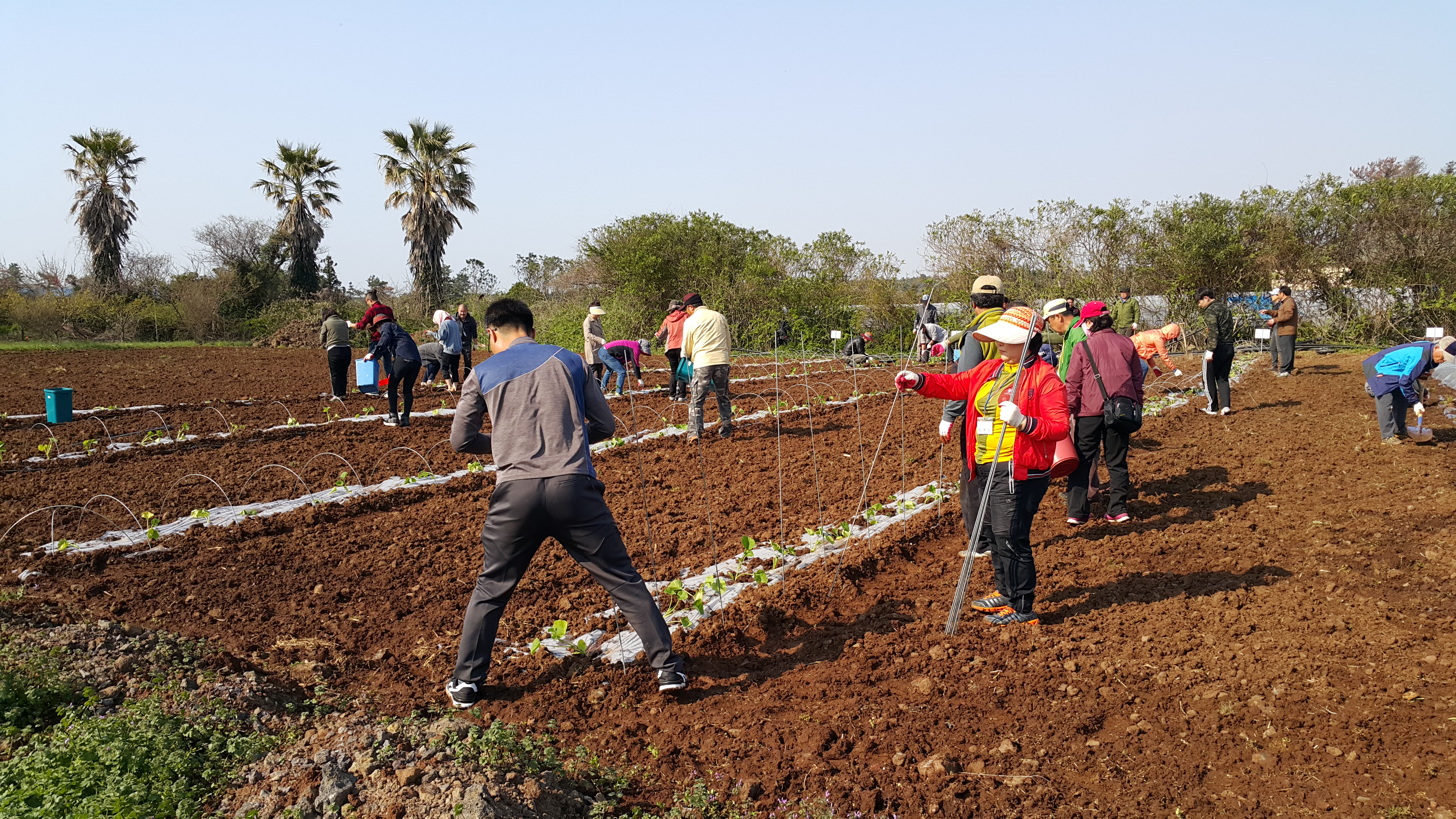 2017년 신규농업인 기초교육(채소기초반)
