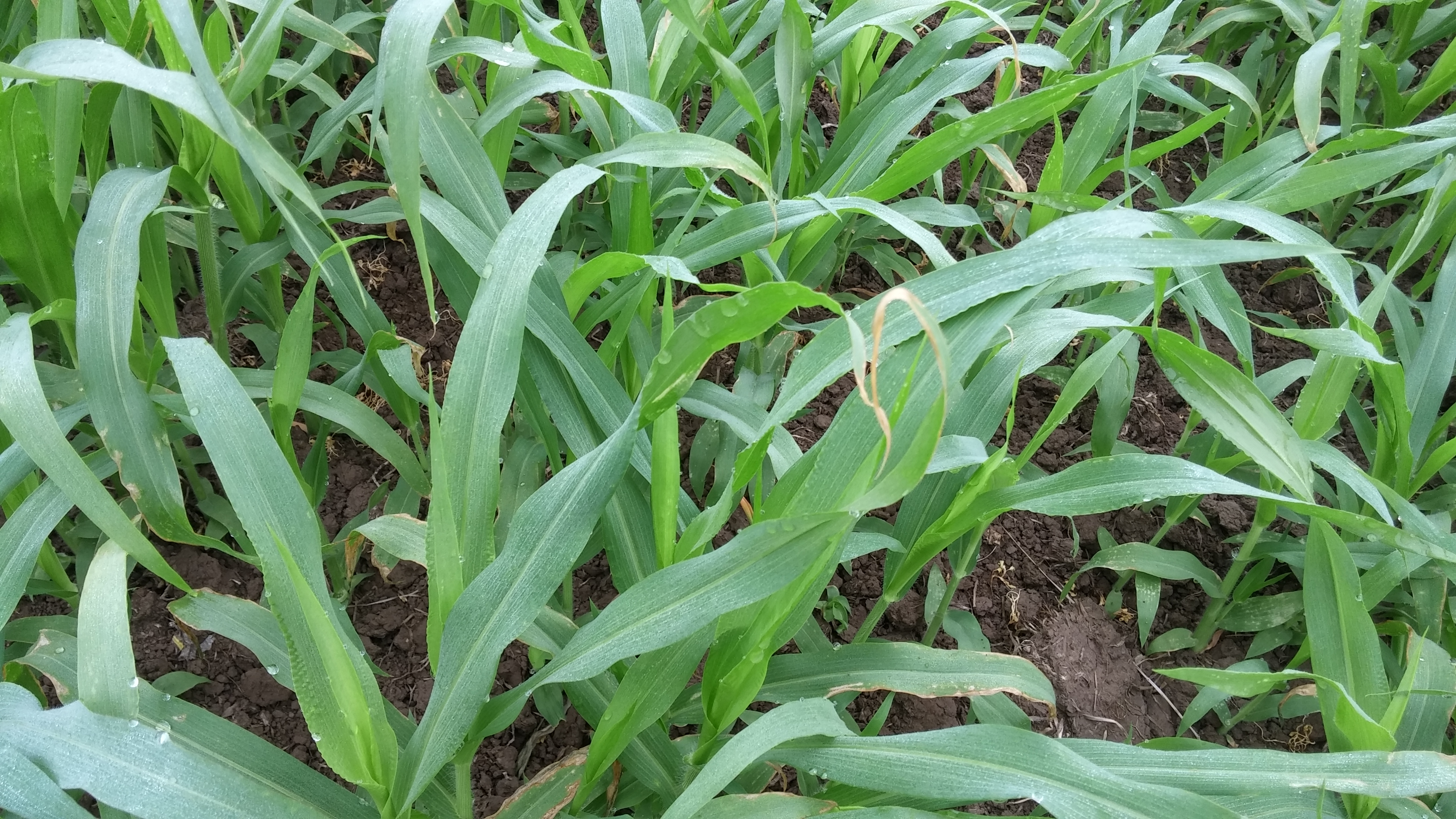 기장 상태에 대해 문의드립니다.