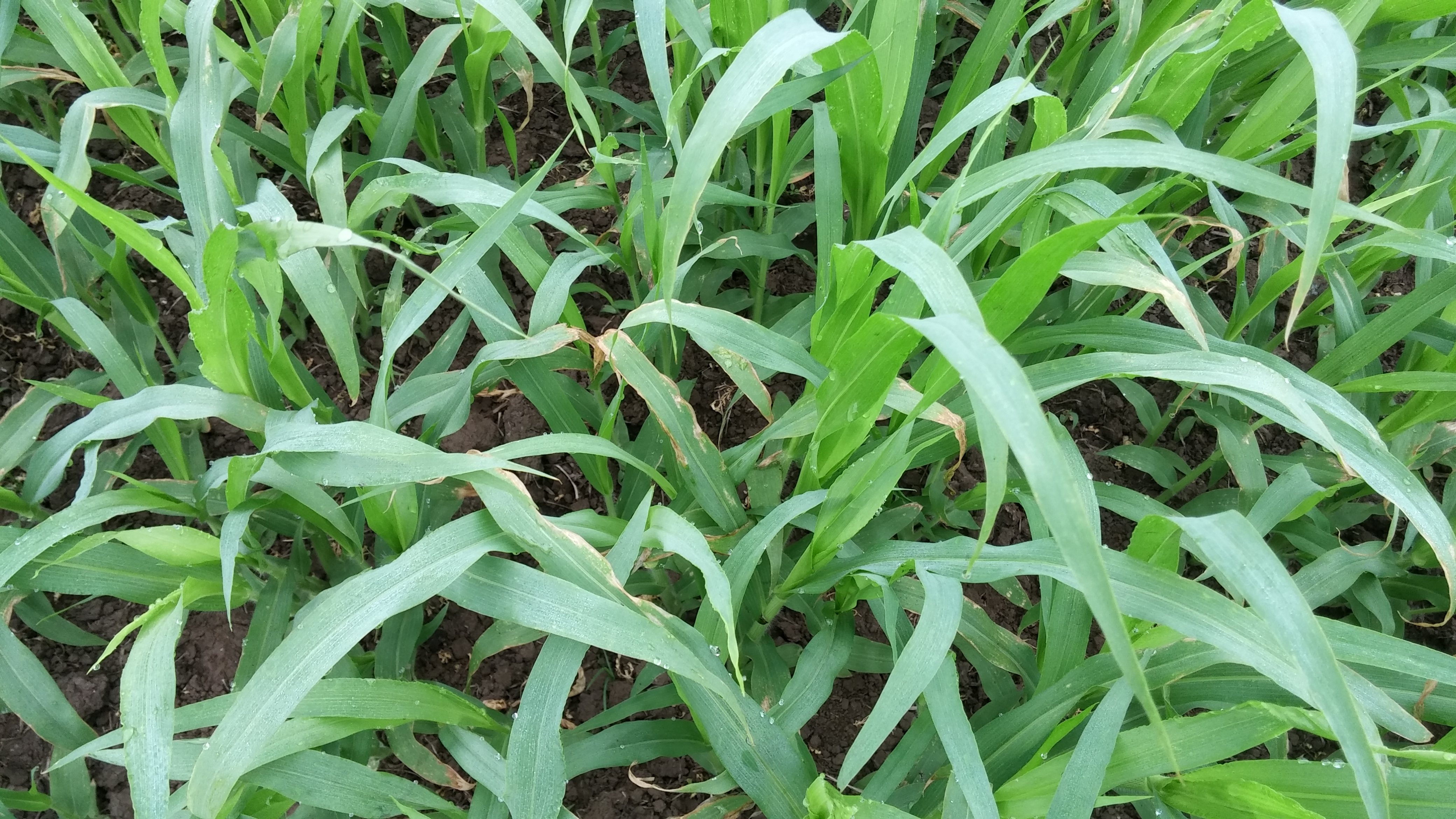 기장 상태에 대해 문의드립니다.