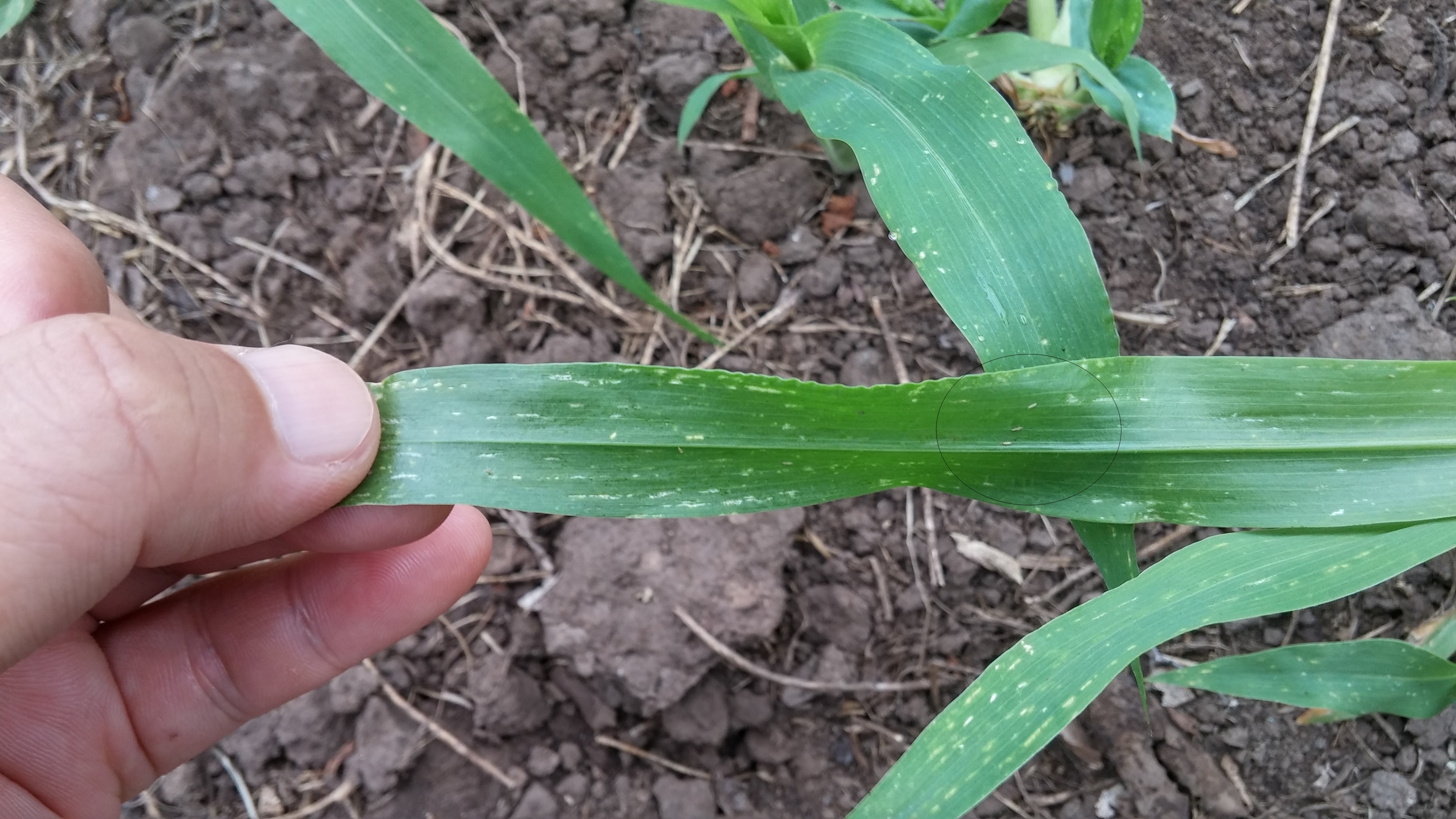 기장 상태에 대해 문의드립니다.