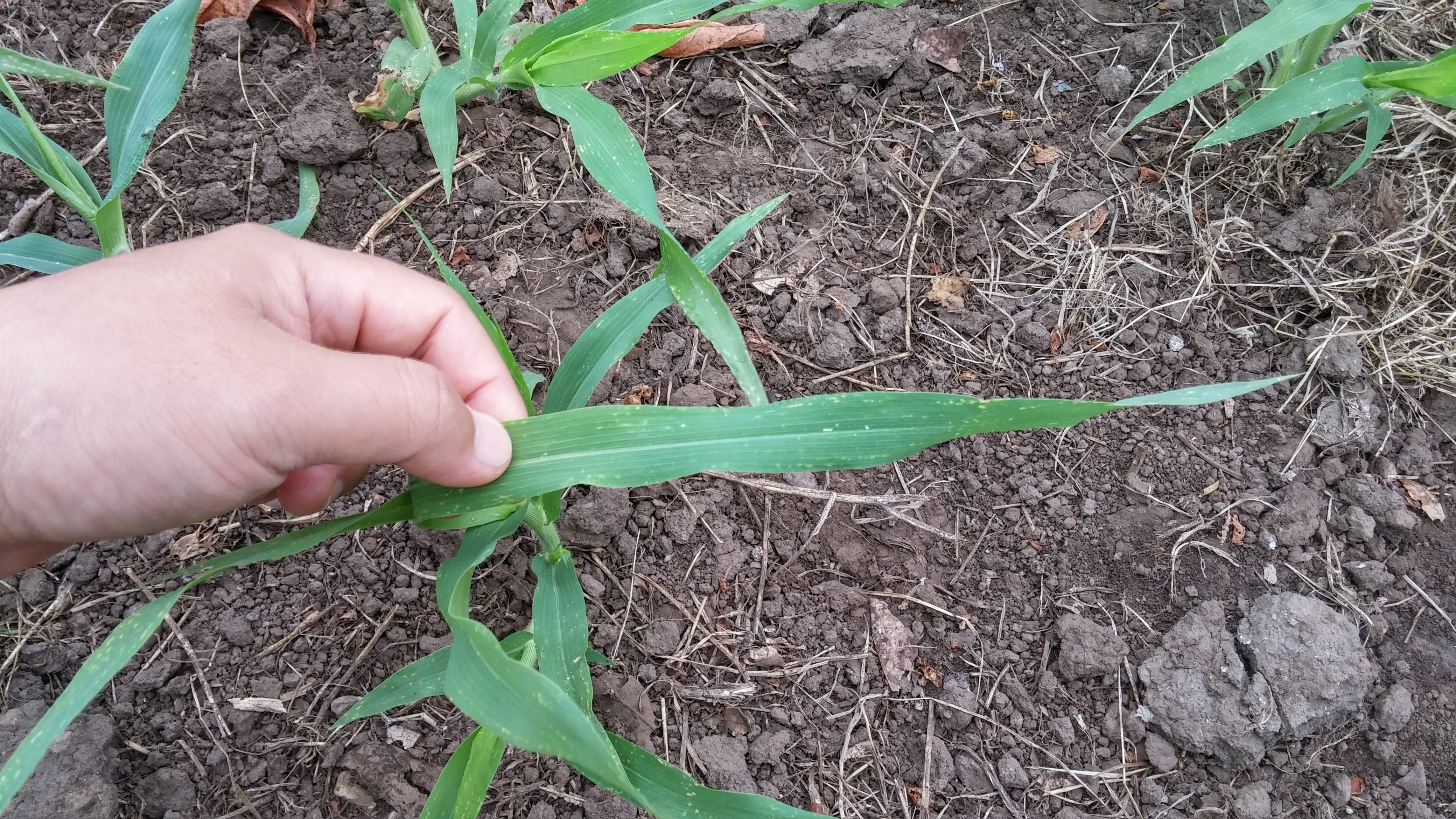 기장 상태에 대해 문의드립니다.