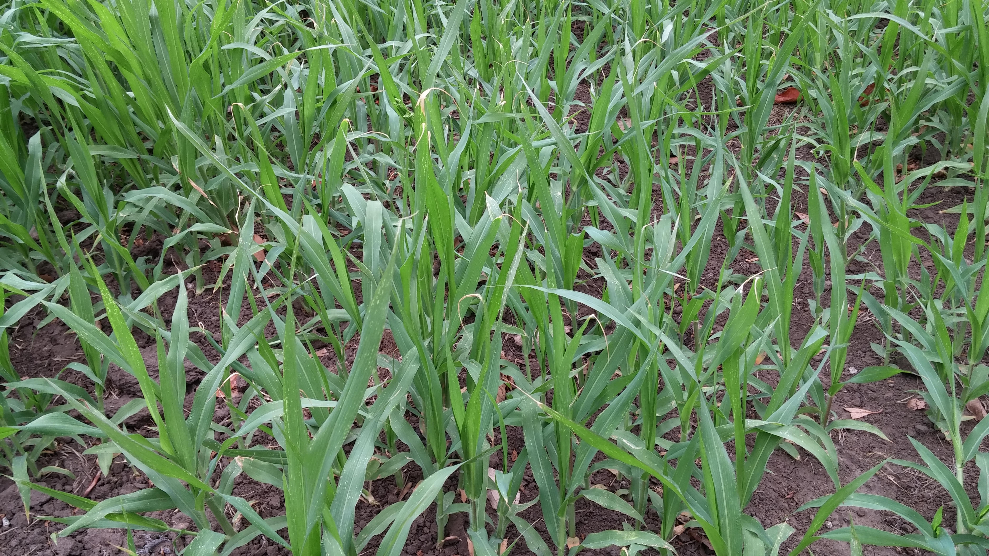 기장 상태에 대해 문의드립니다.