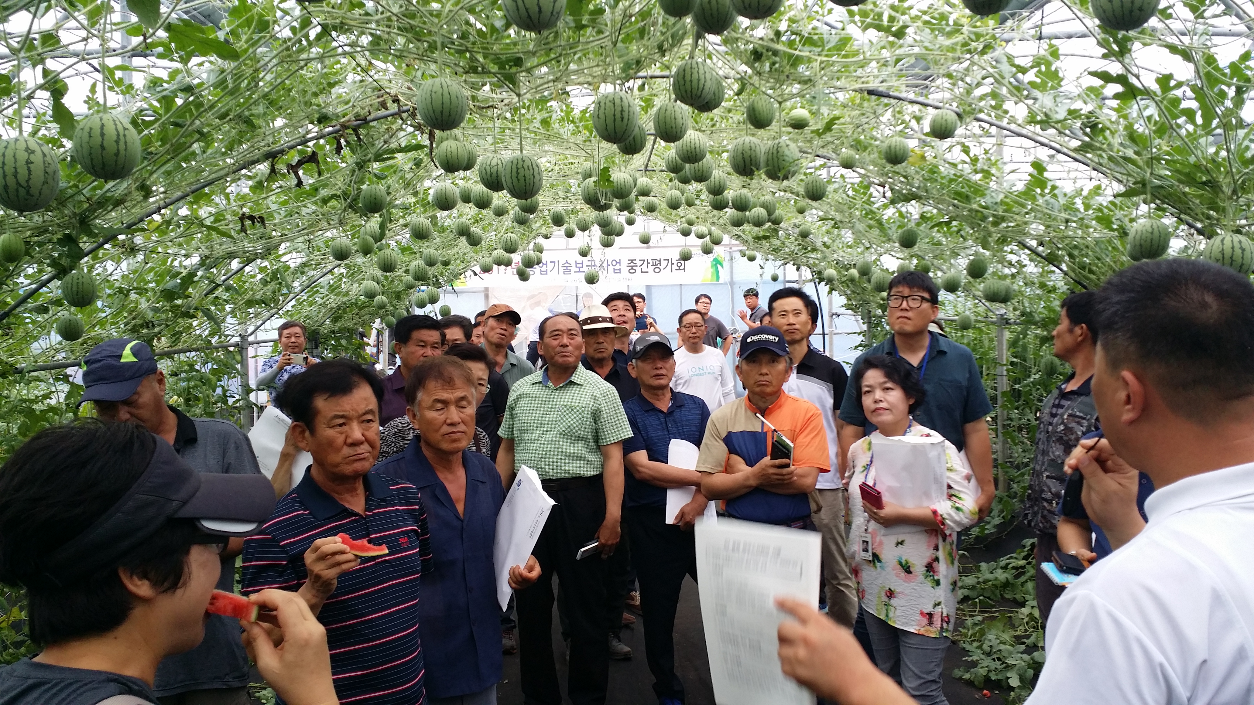 2017 농업기술보급 종합 중간평가회 