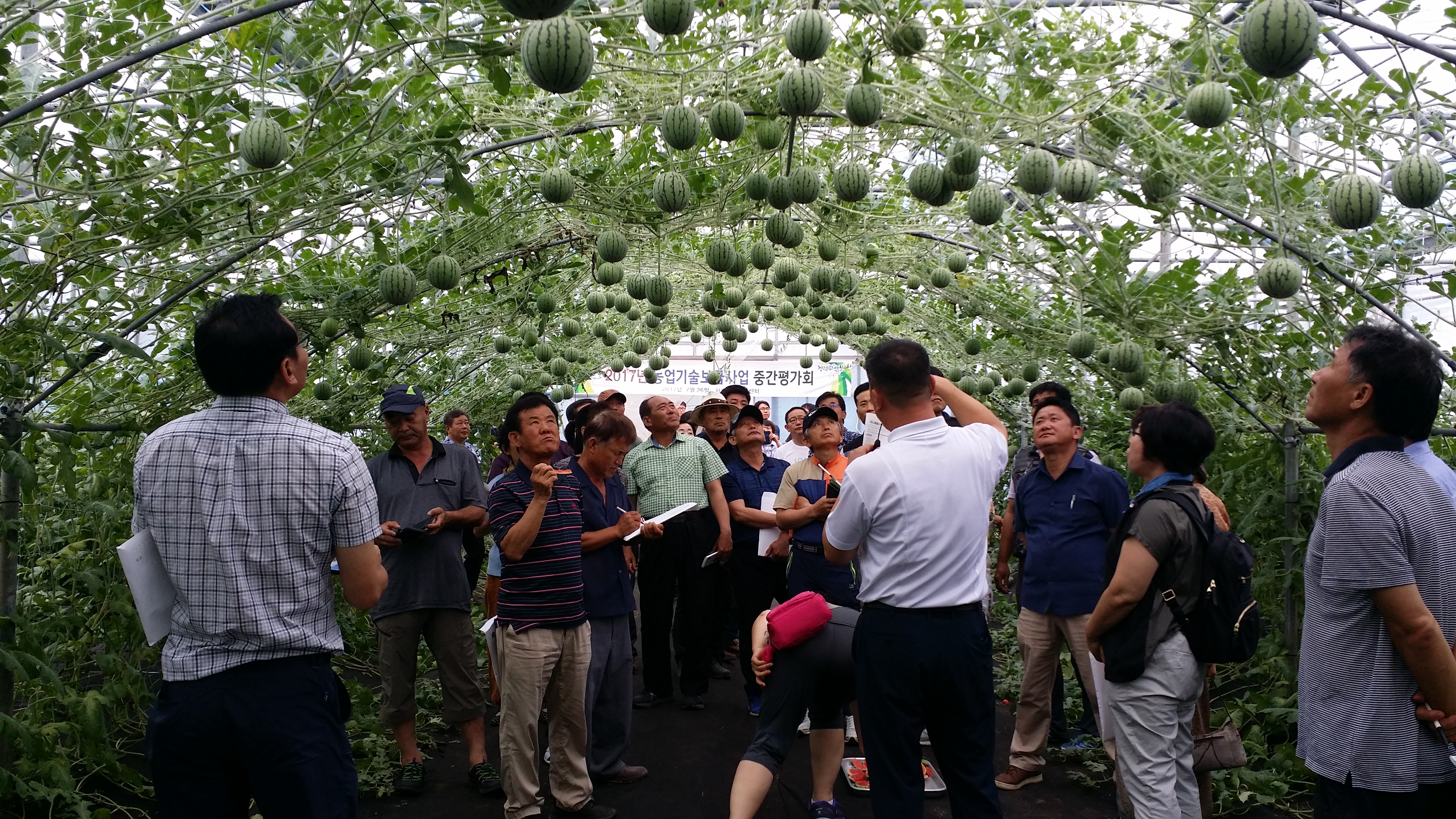 2017 농업기술보급 종합 중간평가회 