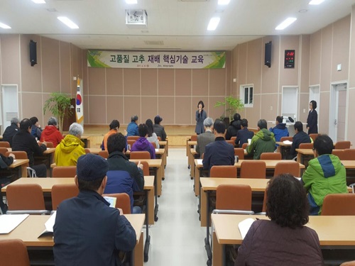 2017 고품질 고추 재배 핵심기술 교육