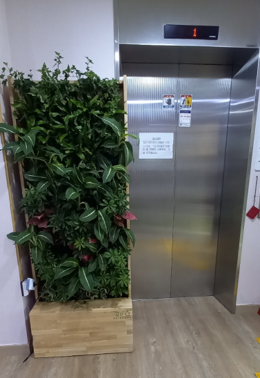 제주특별자치도 농업기술원 제주농업기술센터 신양수 소장님과 직원 여러분께 감사의 마음을 전합니다.