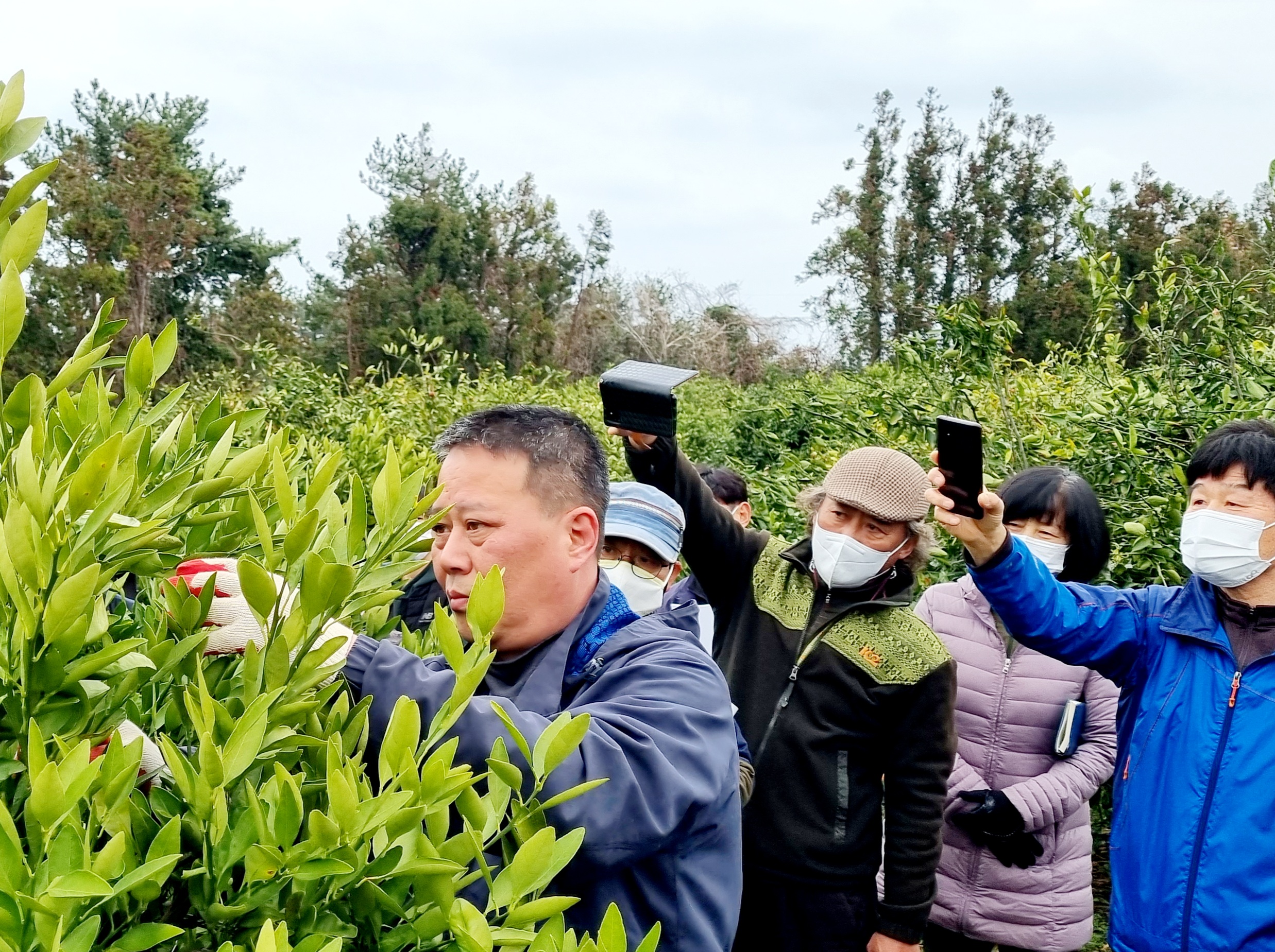2021년 감귤류 정지 전정 현장 교육( 6회, 3/9~3/12)