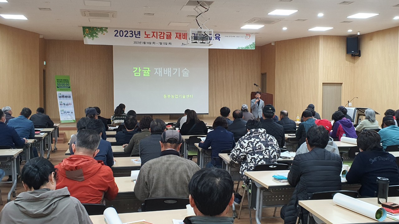 2023년 노지감귤 재배기술 교육
