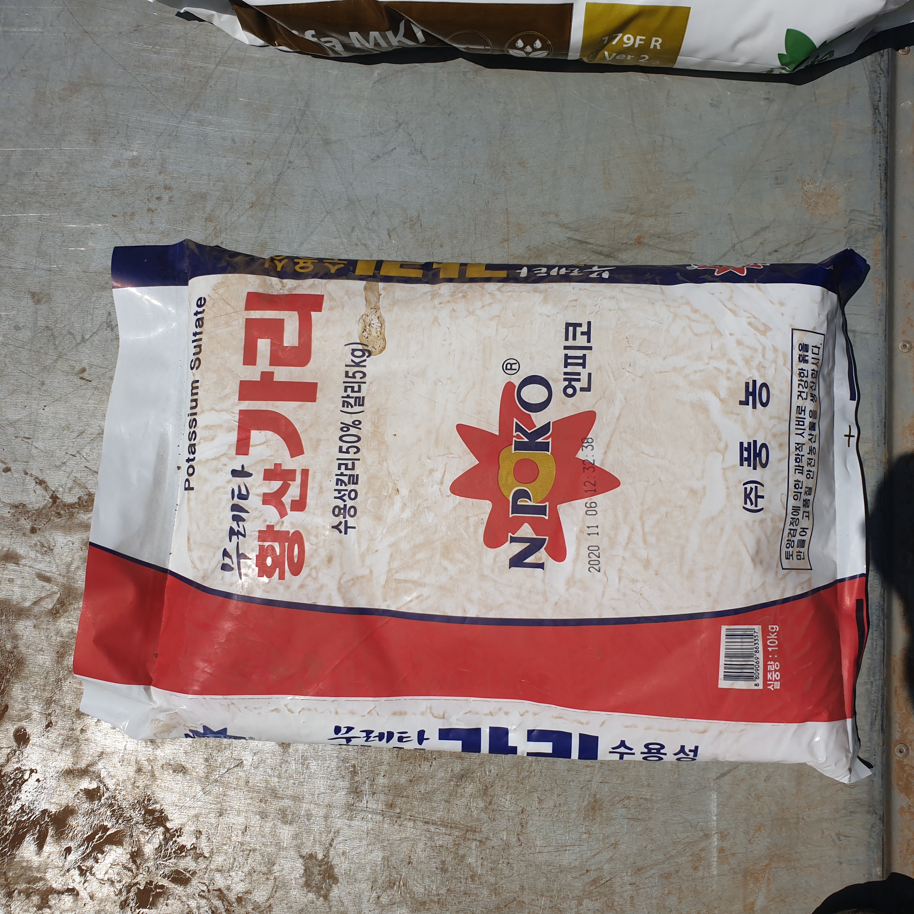 레드향 관주방법