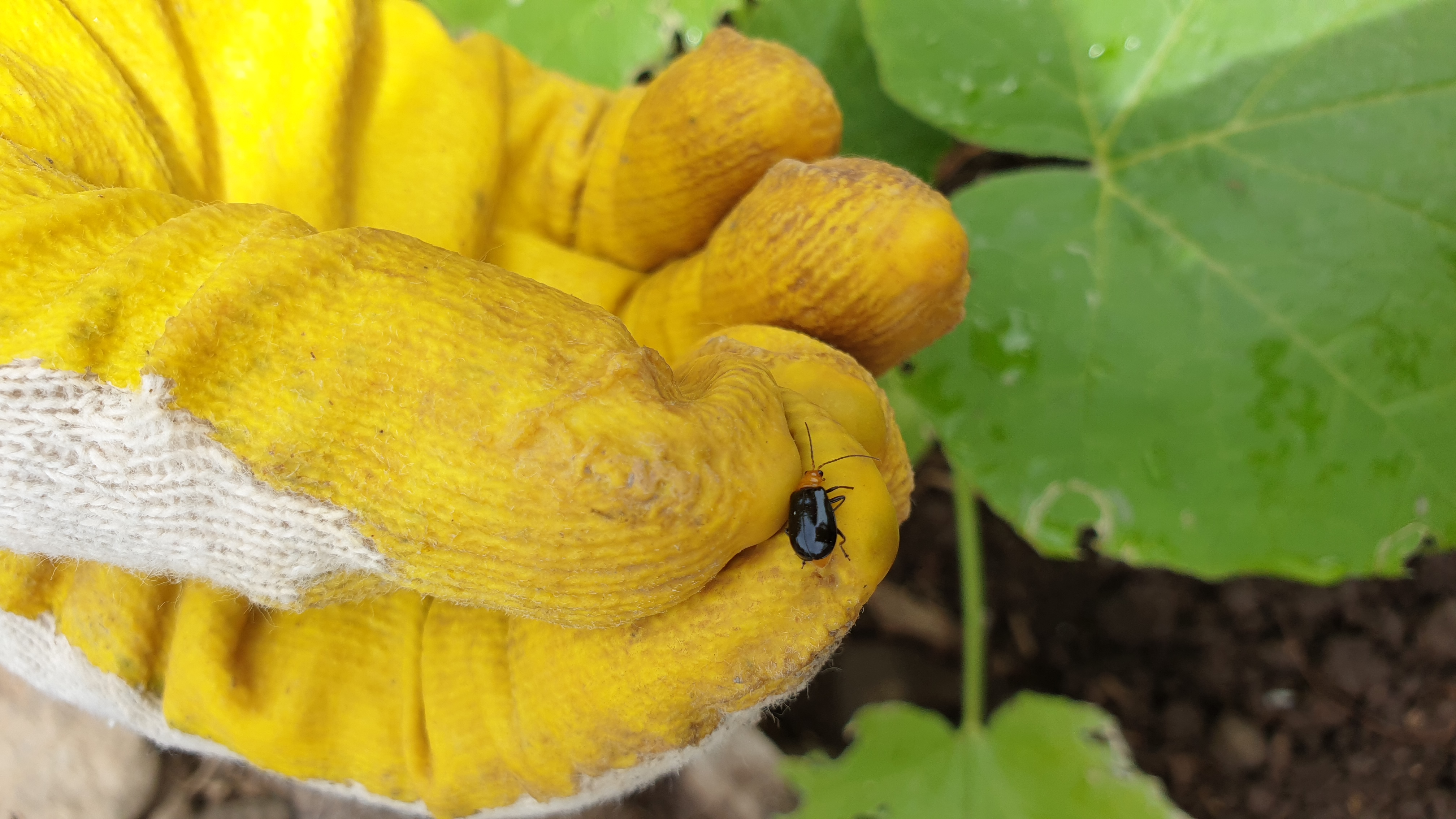 몇가지 문의 드립니다