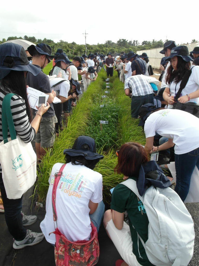 제6회 국제도열병 학회