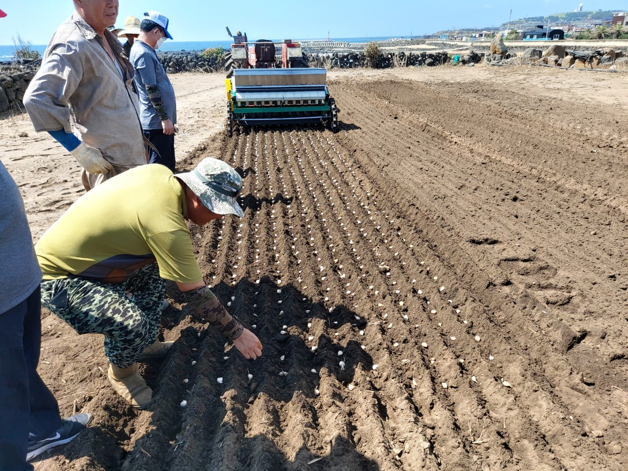 마늘 파종기 현장 시연회