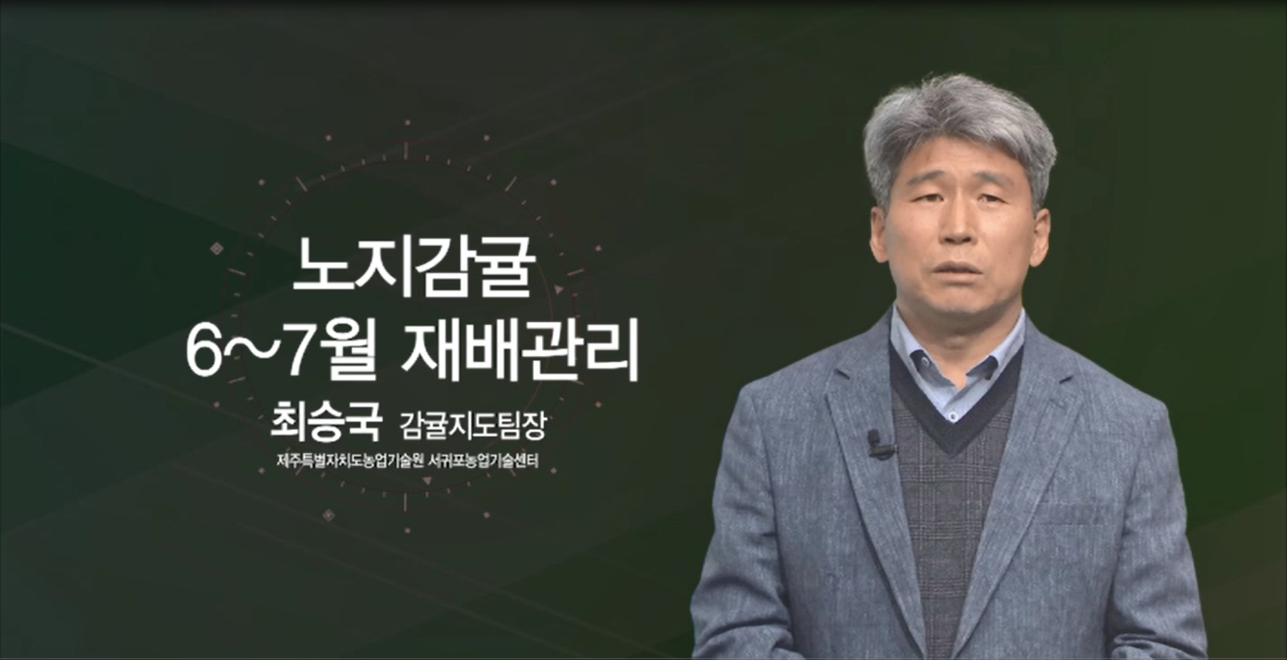 노지감귤 6~7월 재배관리