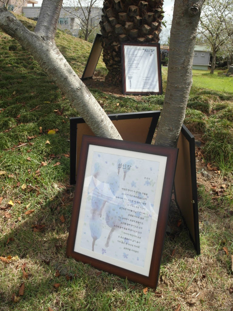 백년초 체험 페스티발