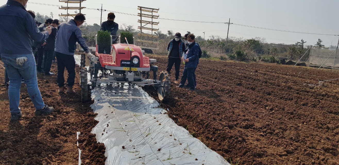 원예작물 정식 기계 현장 시연회 