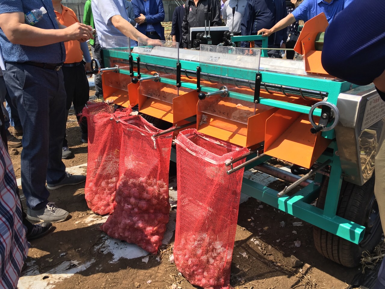 제주형 마늘줄기 절단선별기 현장시연회