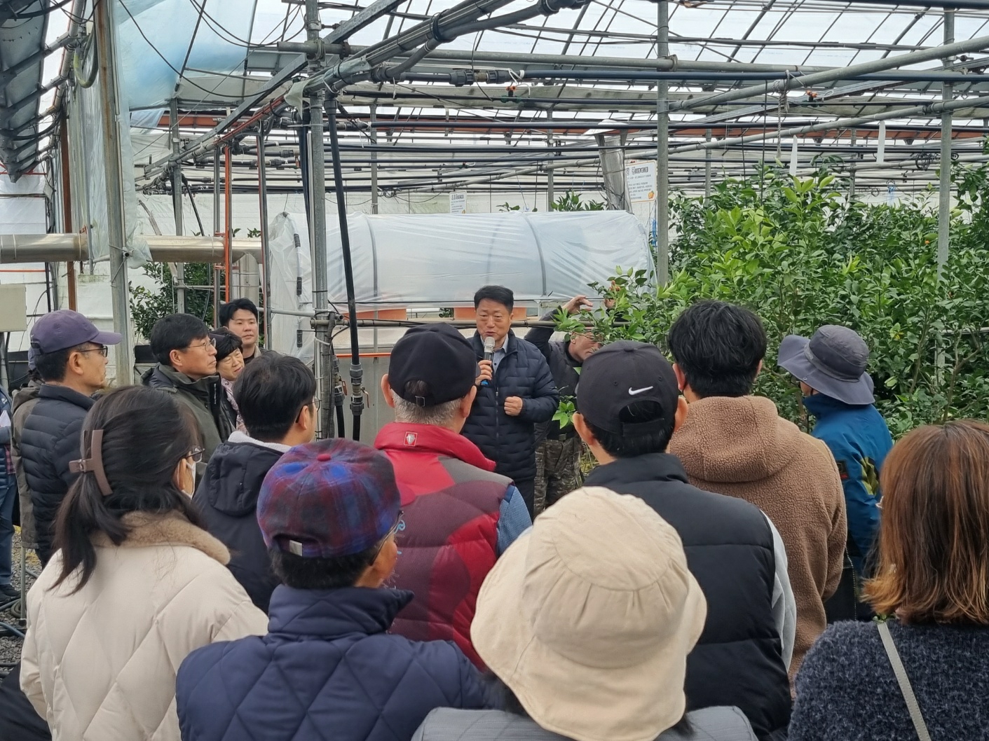 2024년 감귤 정지·전정교육