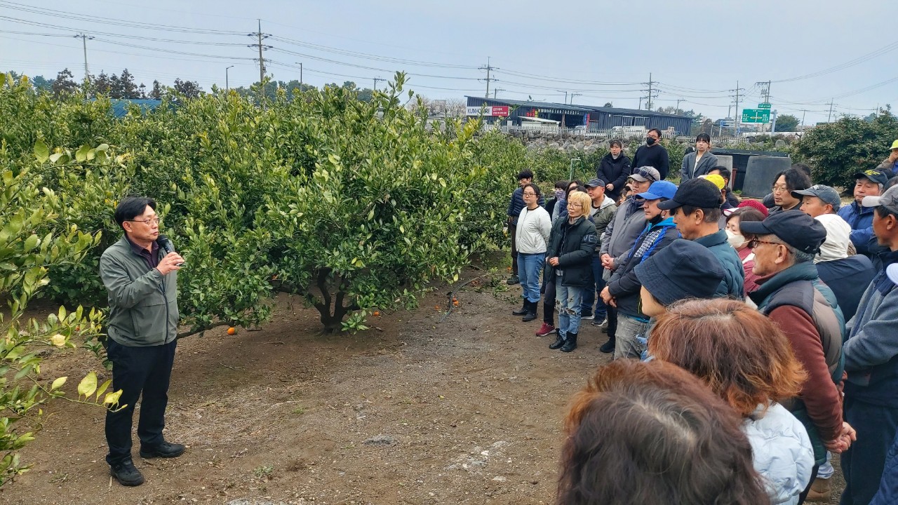 2026년 노지감귤 정지전정 교육(남원농협) 