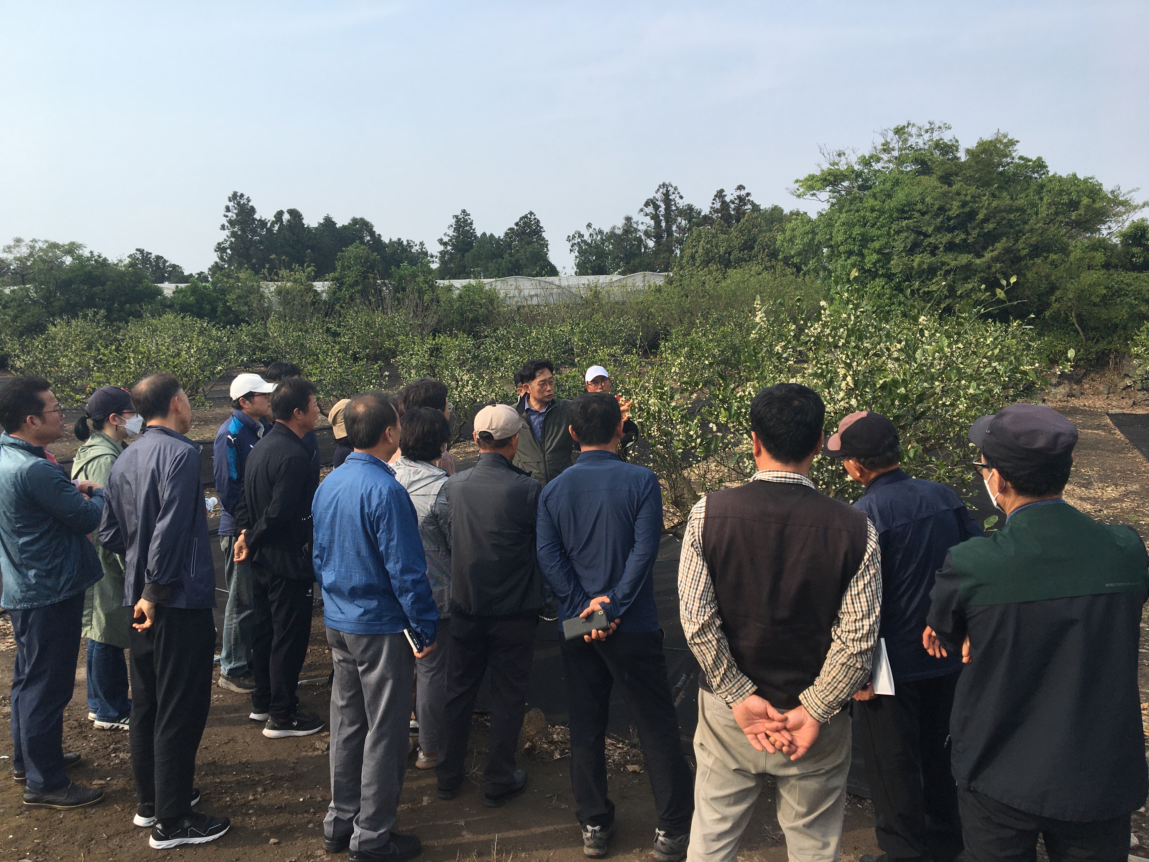 2023년 노지감귤 재배기술교육