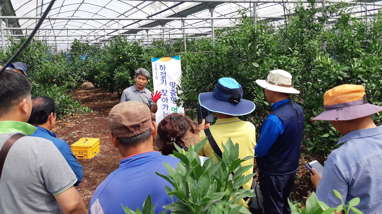 2019 하절기 찾아가는 맞춤형 영농교육