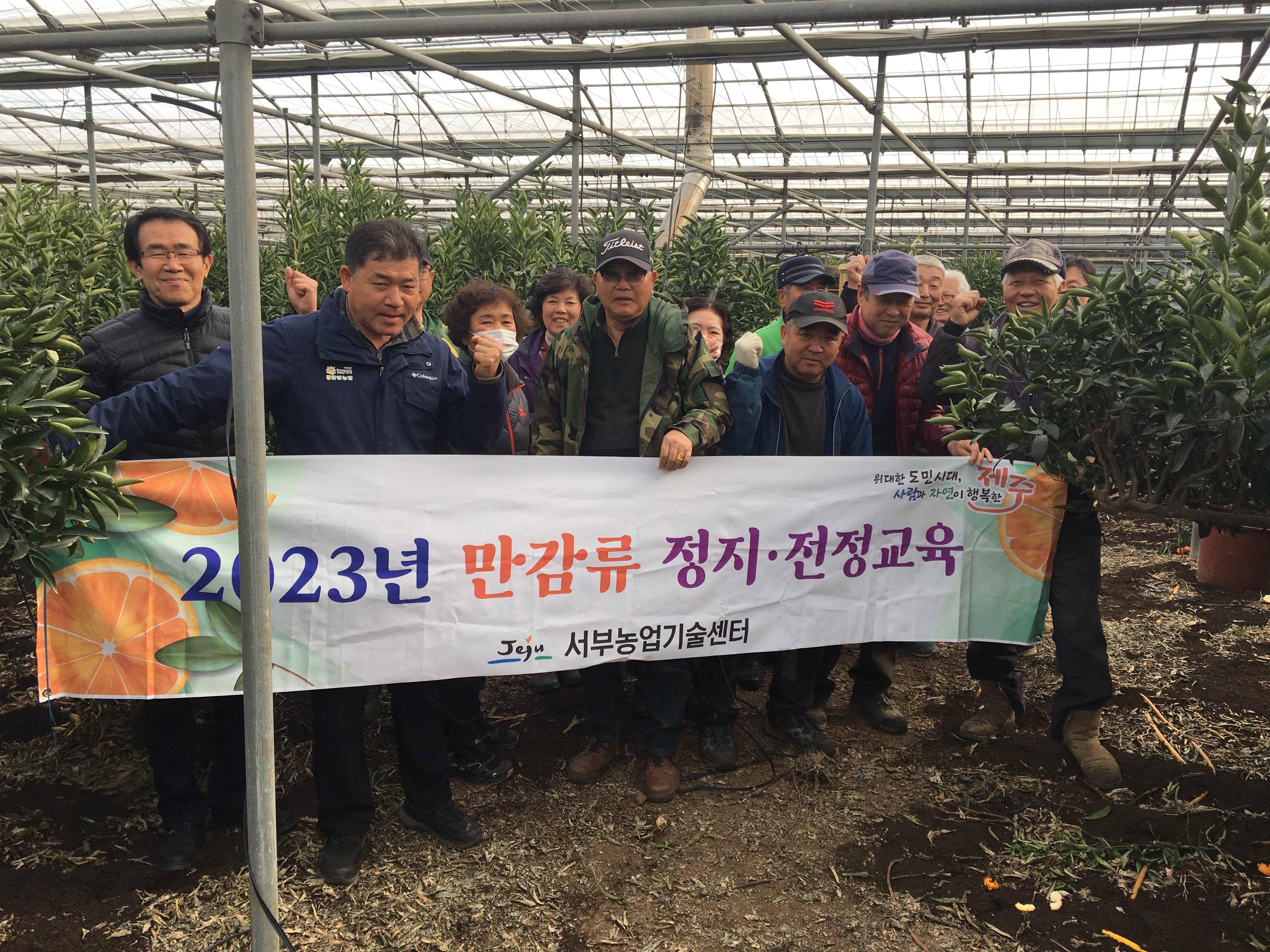 만감류 정지·전정교육