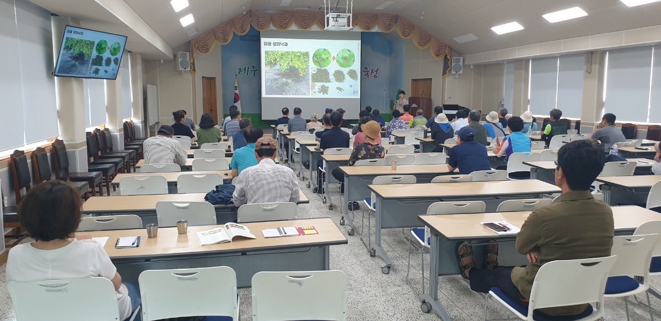 2024년 감귤분야 핵심기술교육(노지감귤)