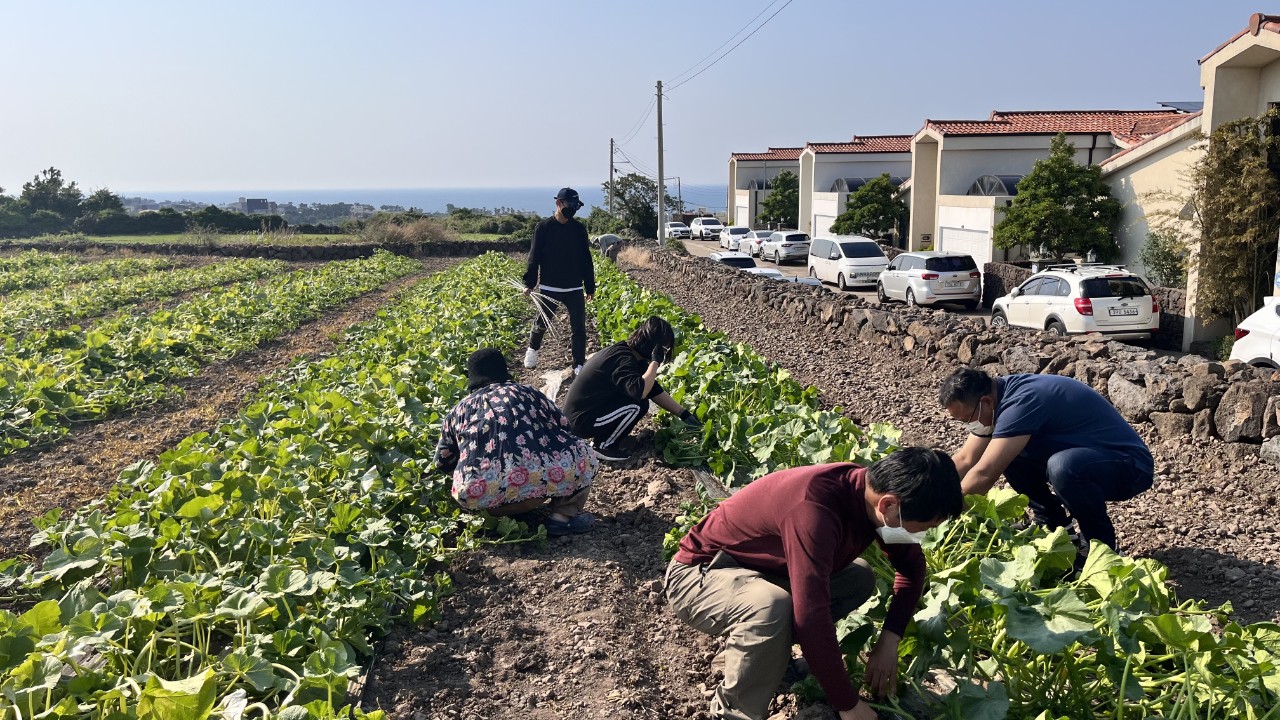 2022년 신규농업인 영농기초교육
