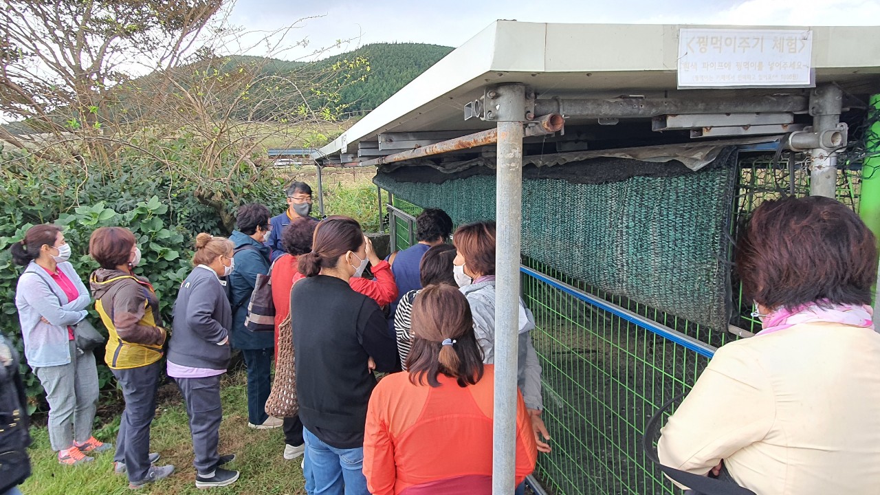 농촌융복합 치유농장 활성화를 위한 치유프로그램 시범 운영 (사월의 꿩)