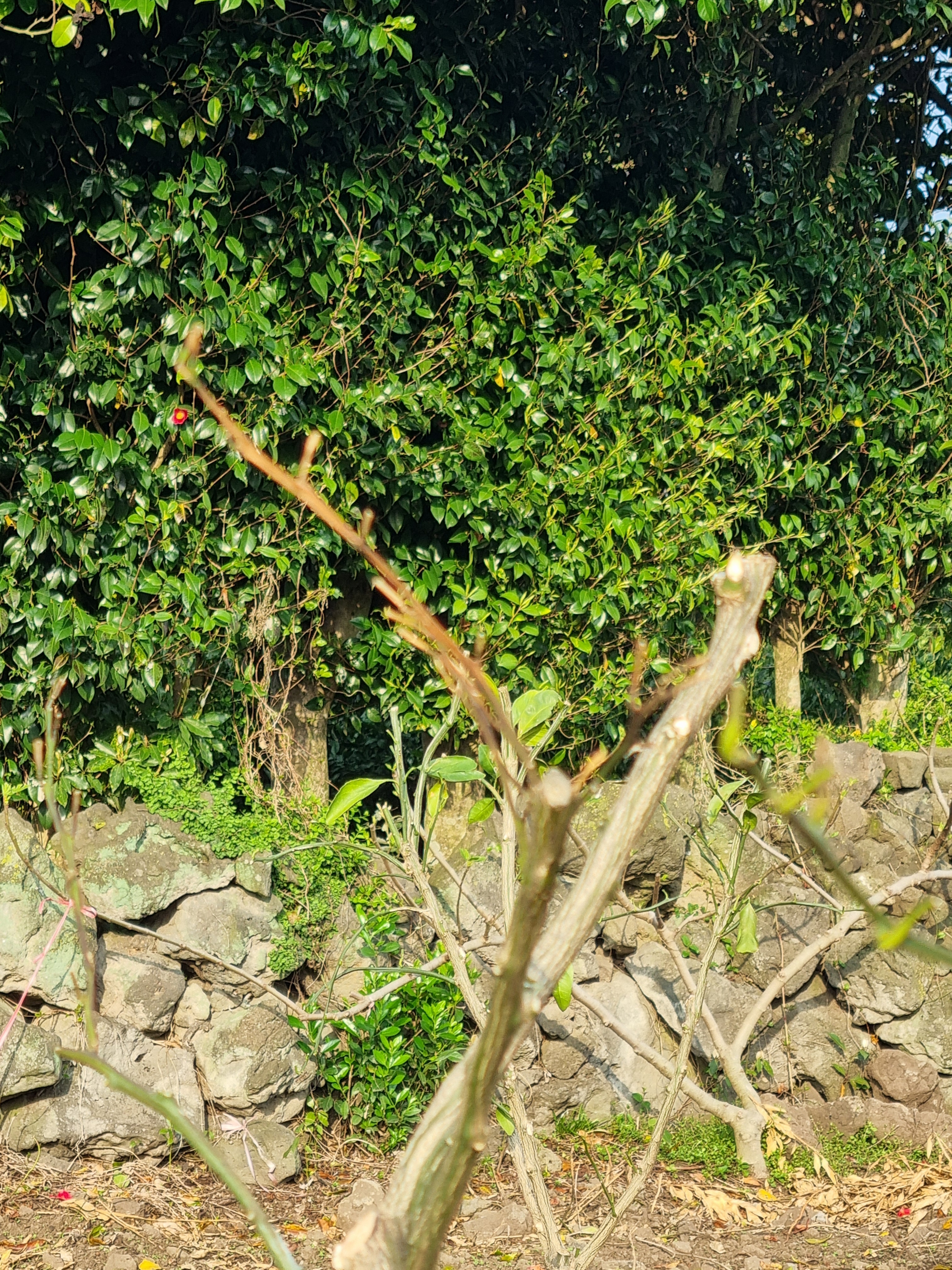 정식작업 후 발생되는 부분에서 문의드립니다.