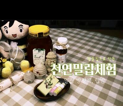 온라인 체험행사(밀랍이용 립밤 및 방향제 만들기)