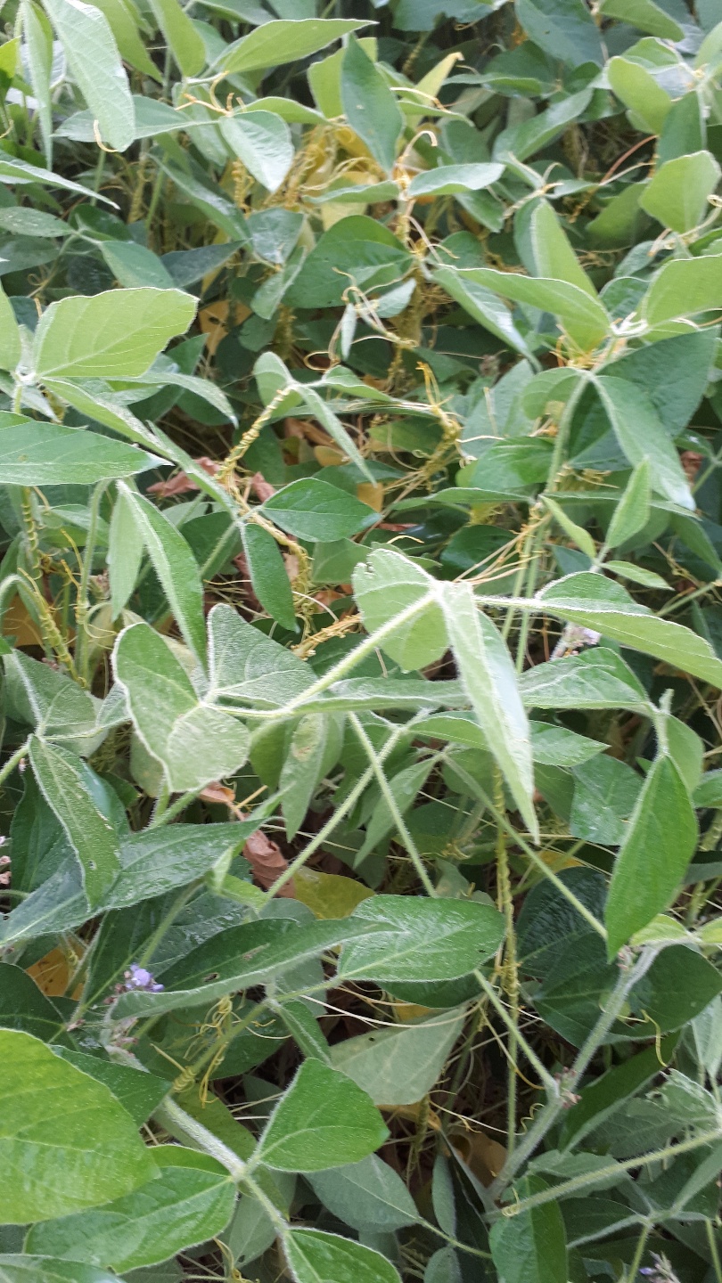 방제법을 알려주세요