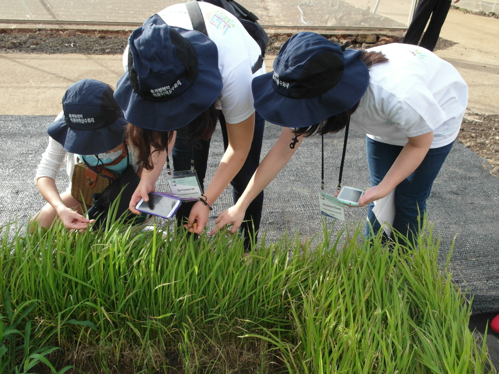 제6회 국제도열병 학회