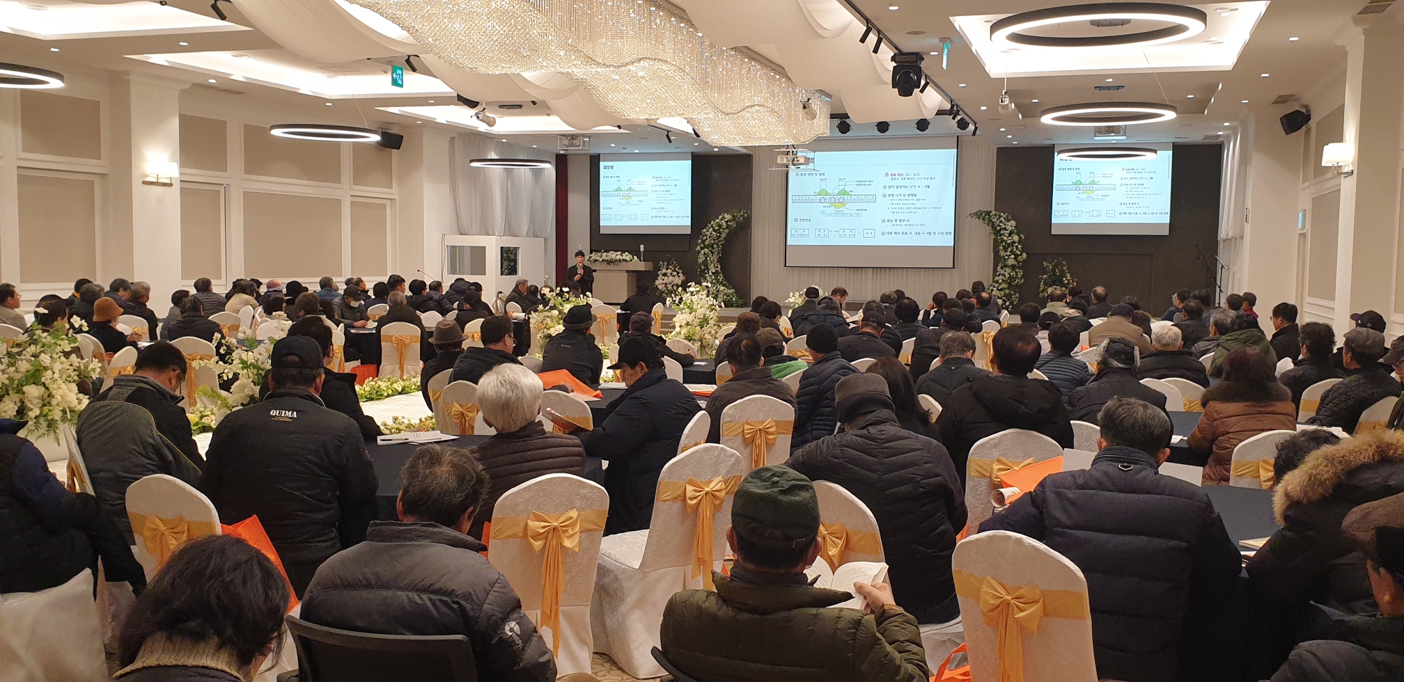 2024 새해농업인 실용교육(서귀포농협, 노지감귤)