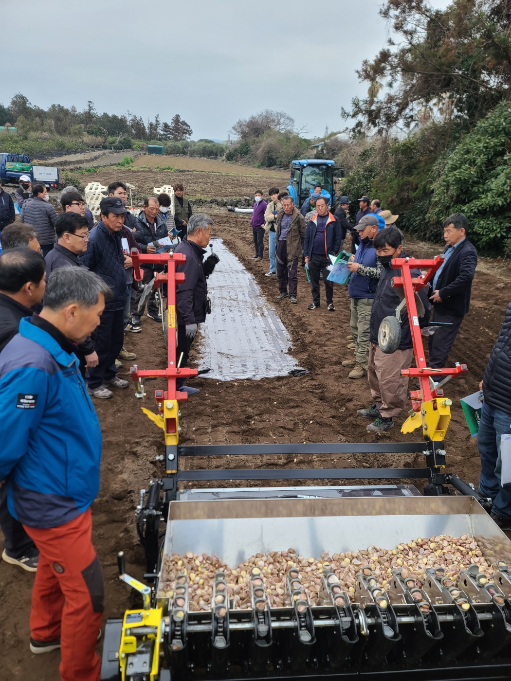 마늘 기계 운용 및 기계화 작업 현장교육