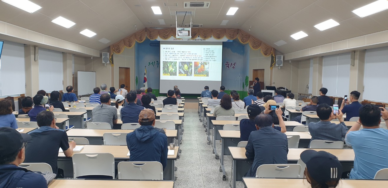 2024년 감귤분야 핵심기술교육(만감류 II반: 레드향, 황금향 중점)
