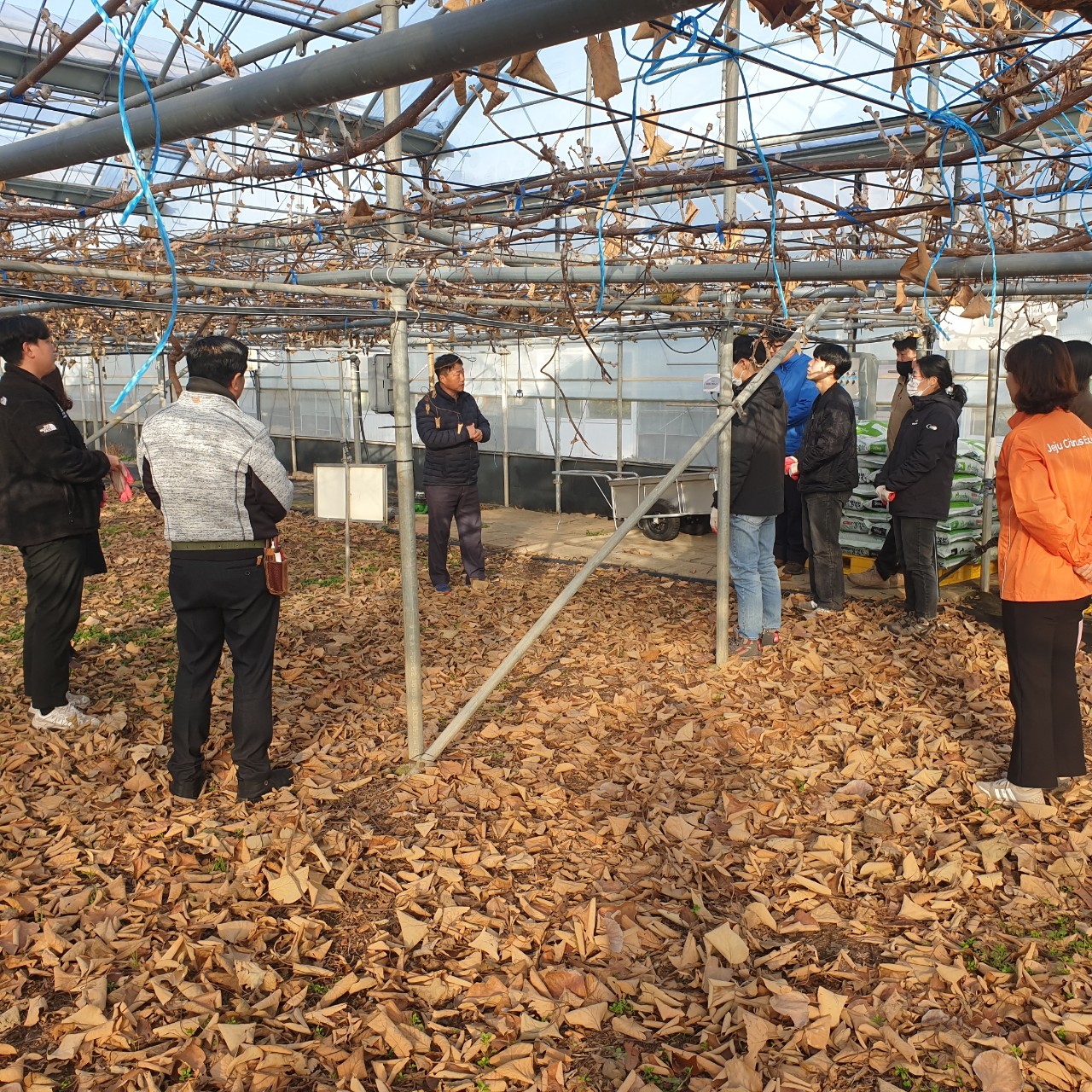 직원 자질 함량 키위 전정 교육