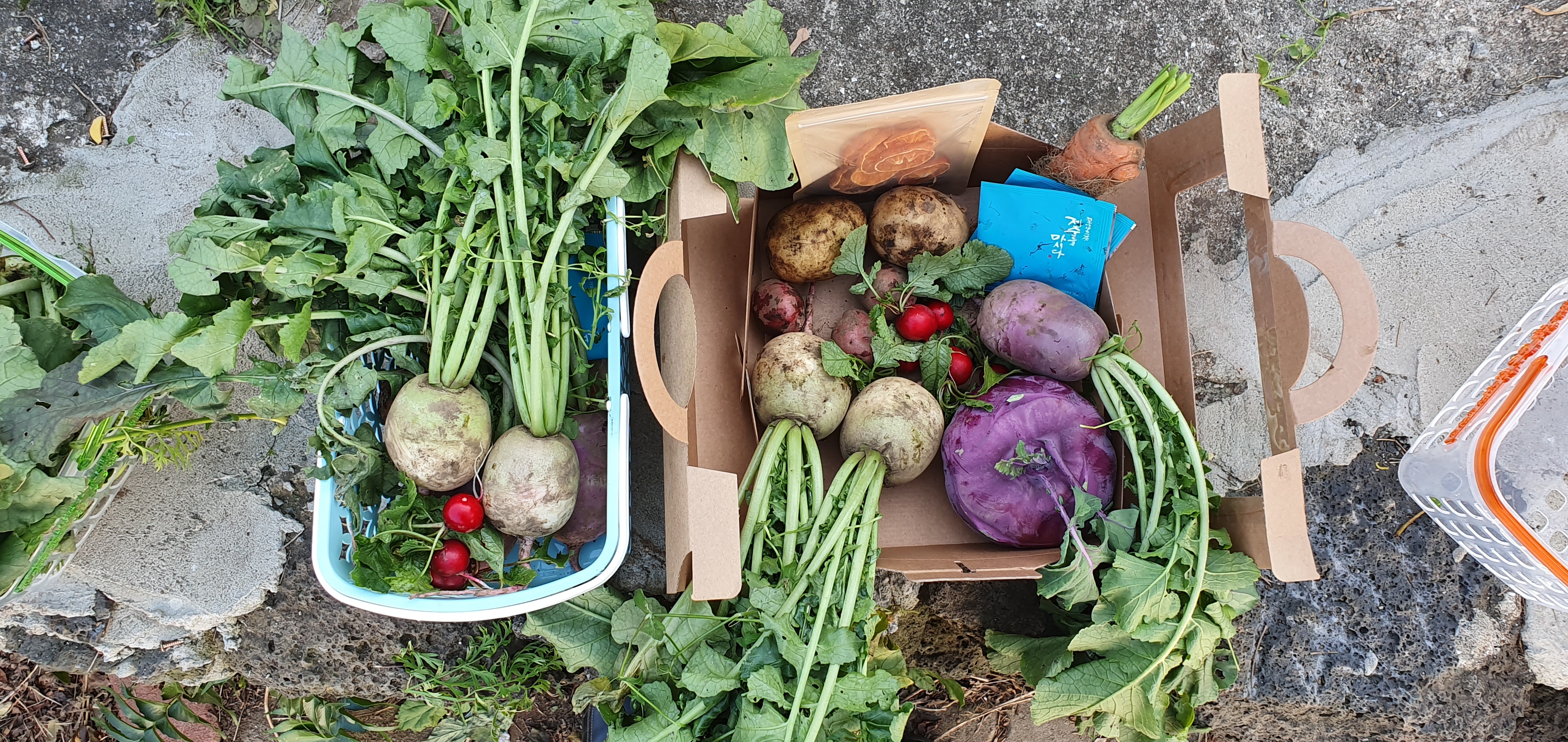 땅의 생명을 노래하는 농부와 조리명인의 맛남