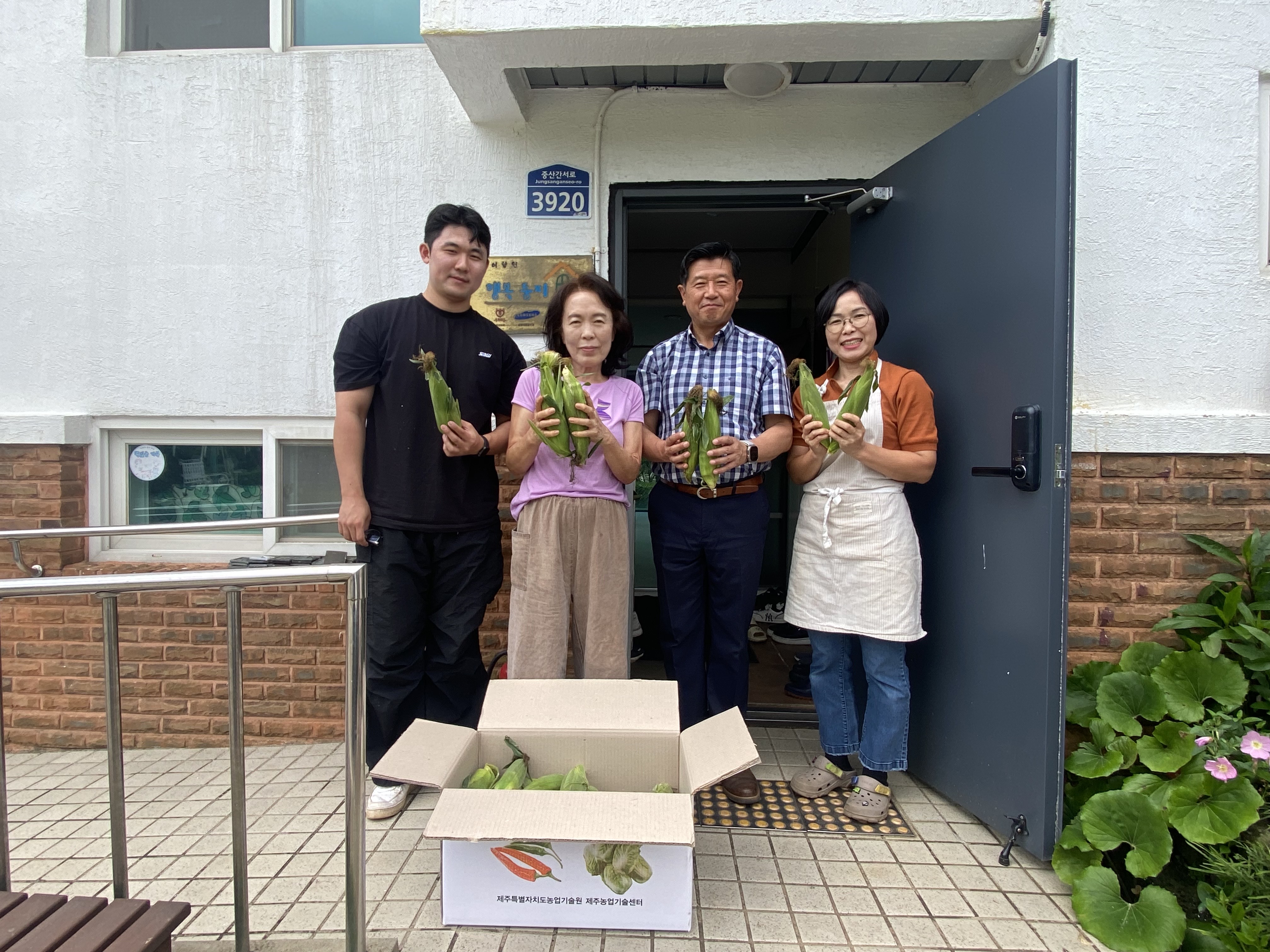 초당옥수수(실증포 수확) 나눔