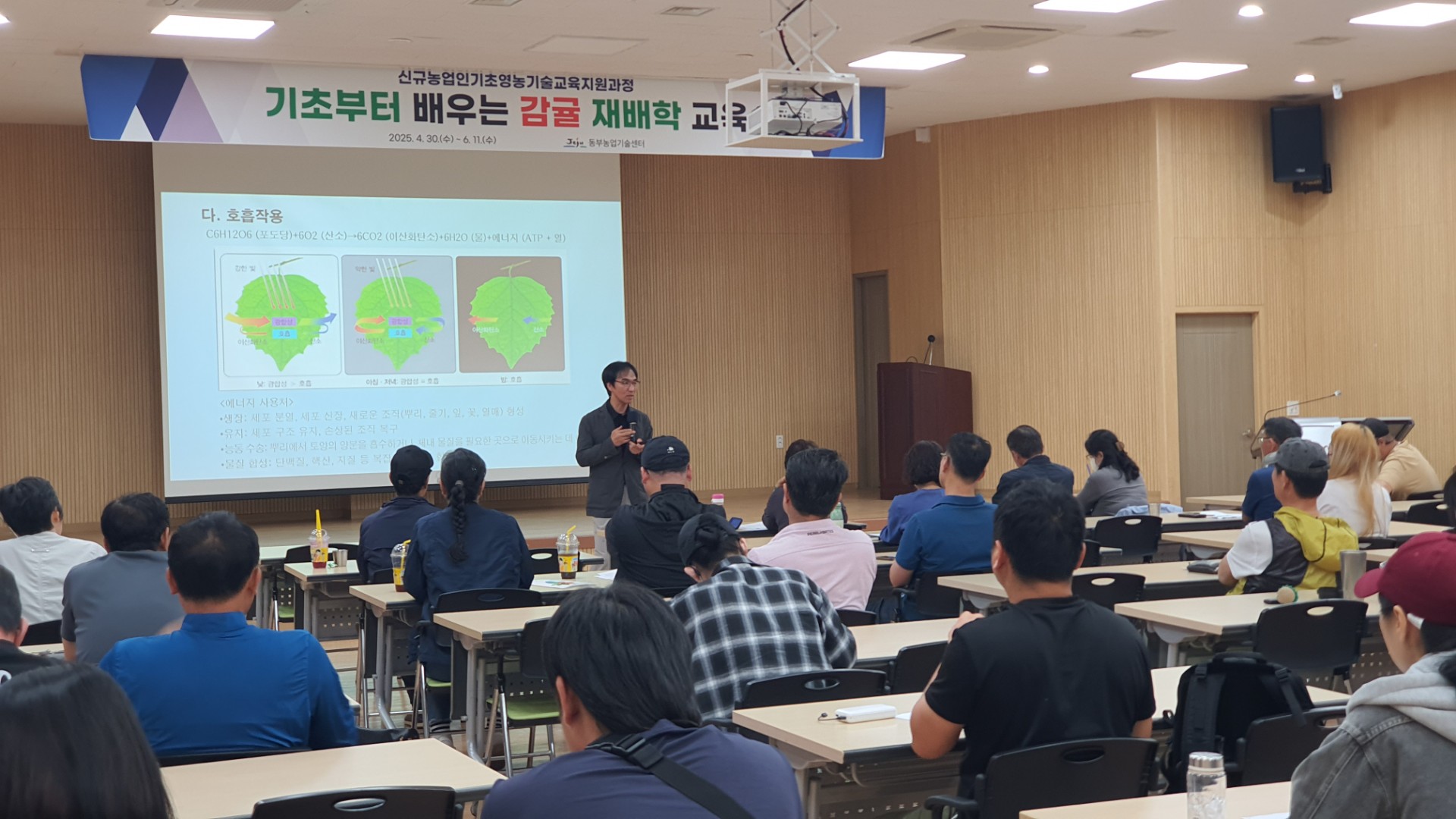 기초부터 배우는 감귤 재배학(3회차)