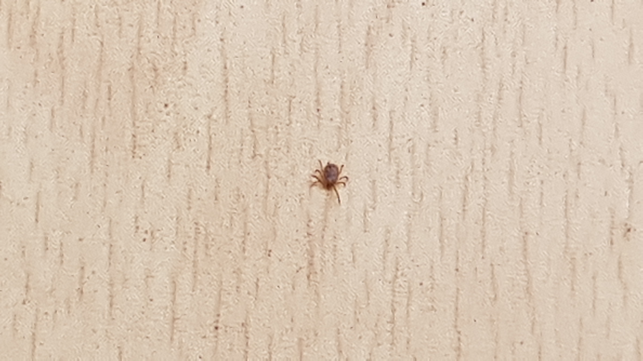 밭에 방제를 어떻게할까요?