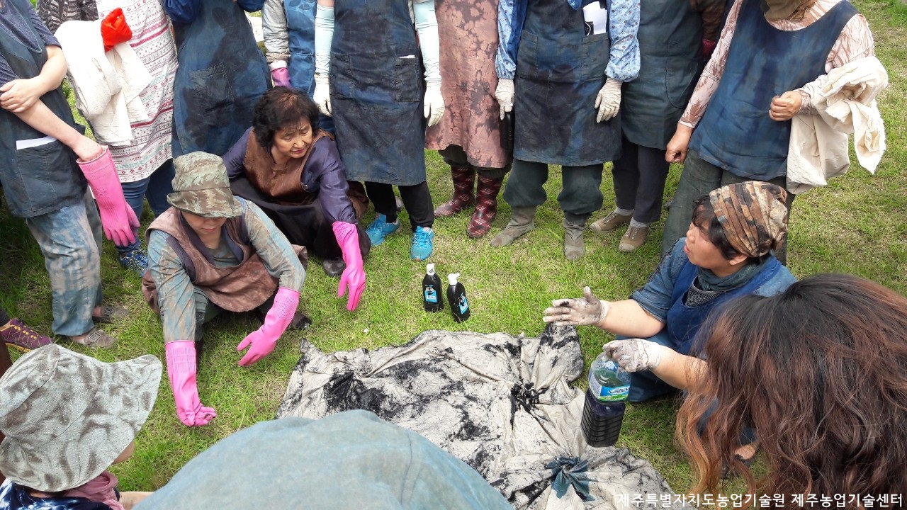 천연염색 전문가 과정 교육