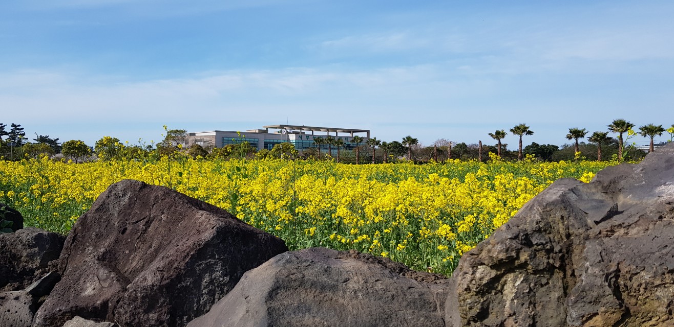 서부농업기술센터의 봄 입니다.