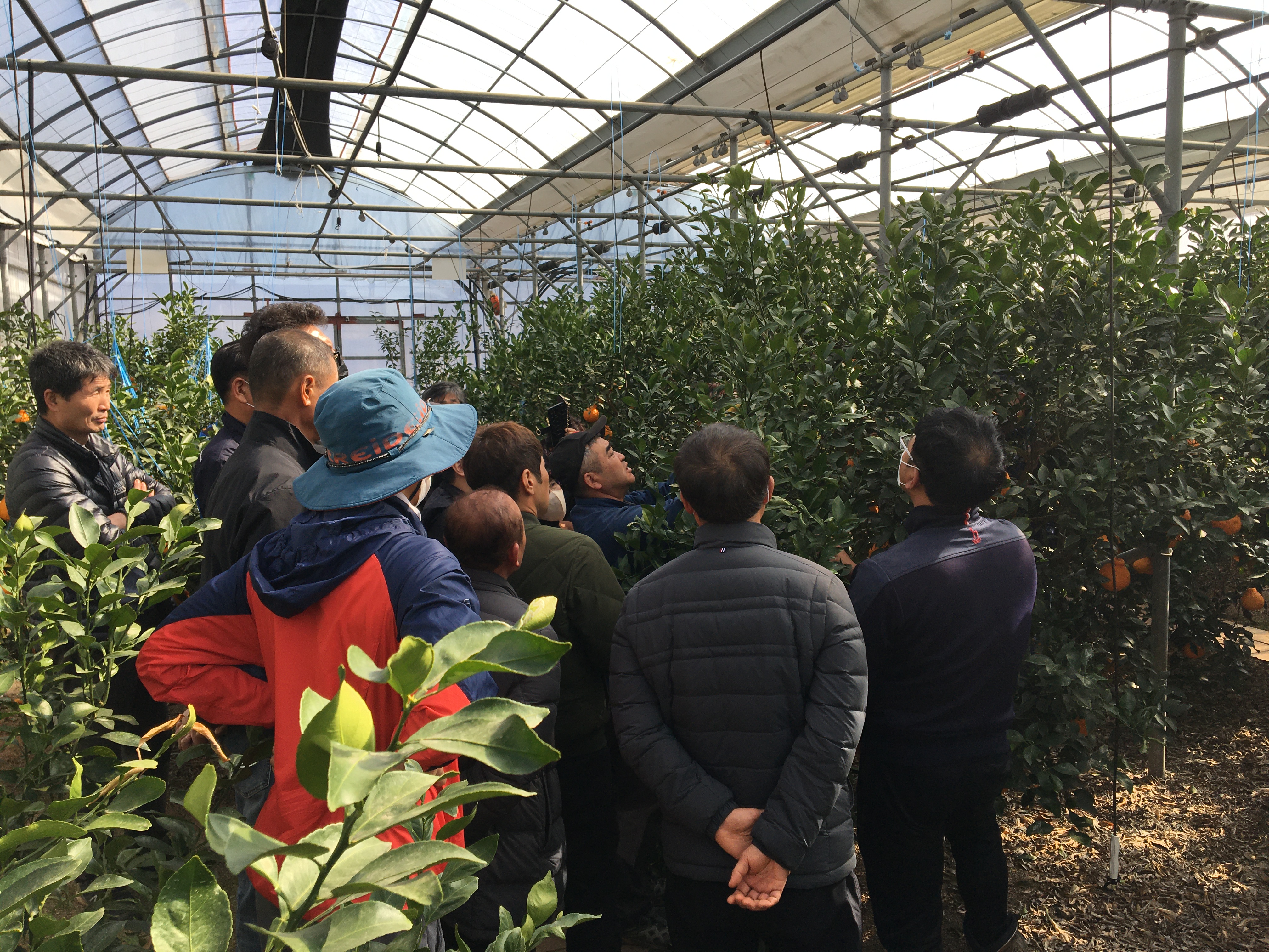 만감류 정지·전정교육